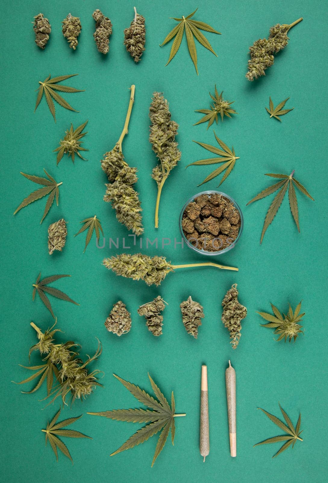 Marijuana and cannabis buds, cbd concept