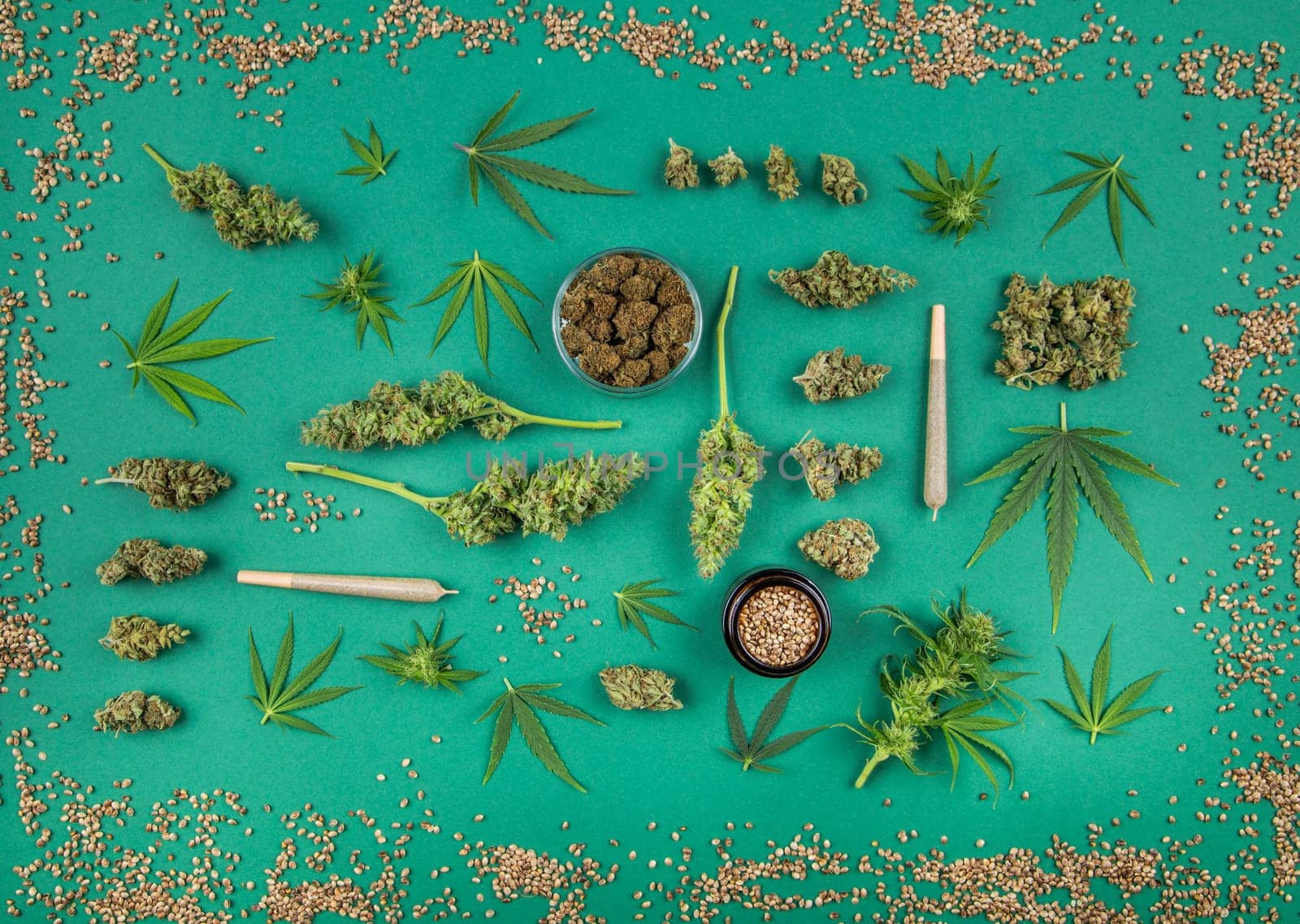 Marijuana and cannabis buds, cbd concept
