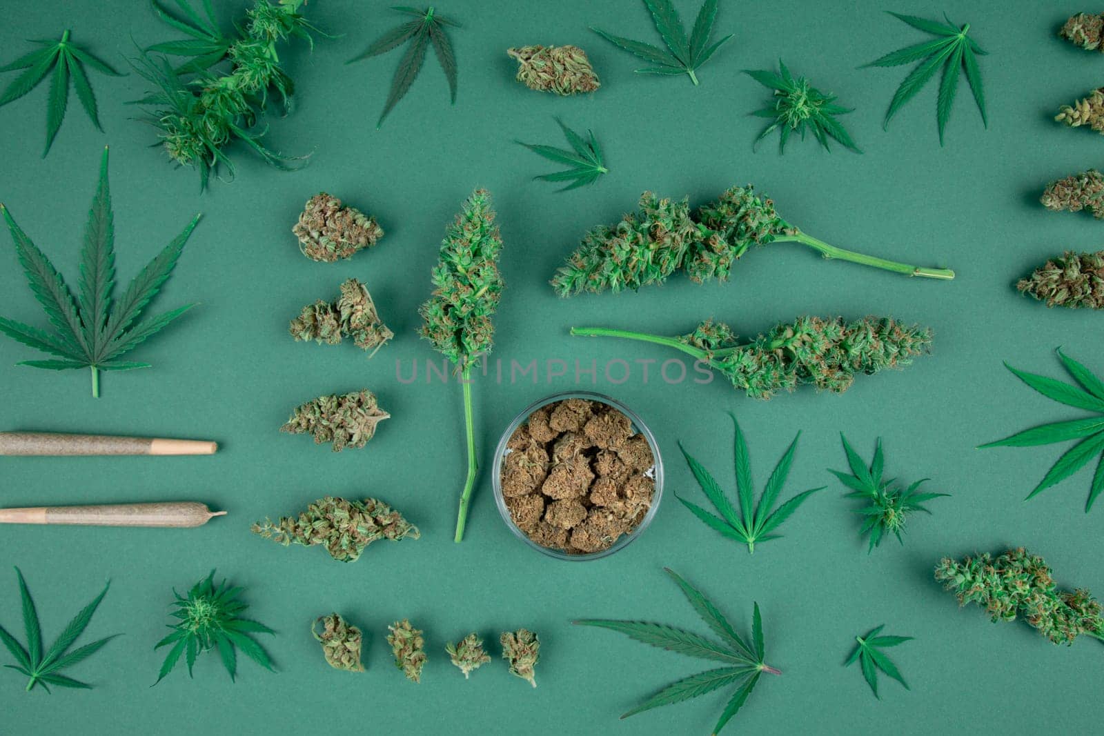 Medical marijuana, cbd,  Cannabis buds, hemp leaves concept