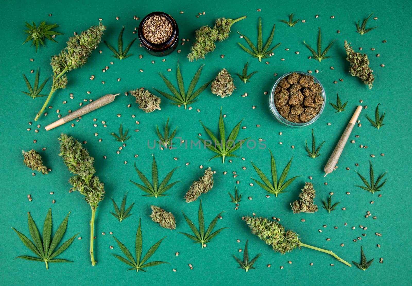 Marijuana and cannabis buds, cbd concept