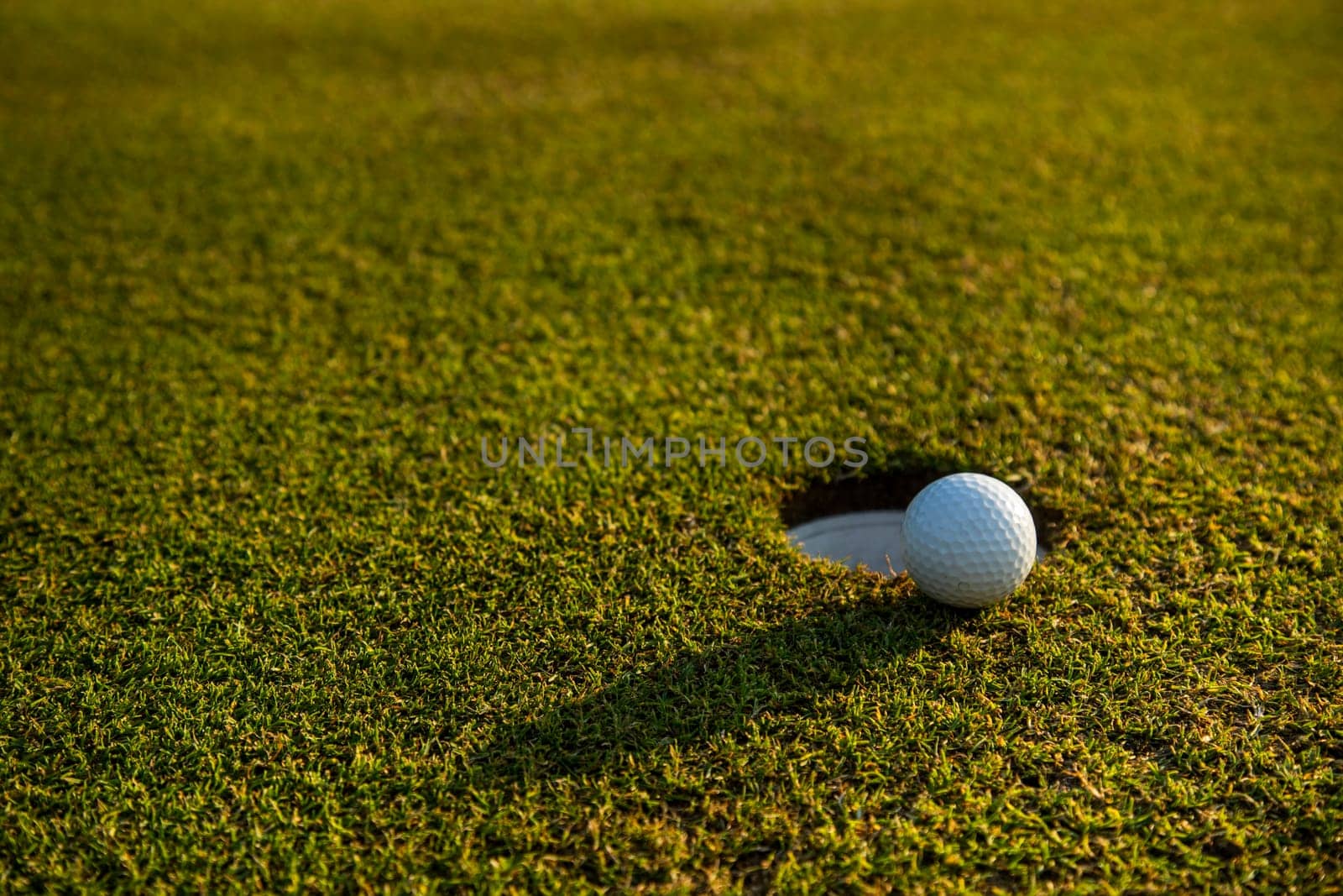 Close up of golf ball on green grass, Sport and lifestyle