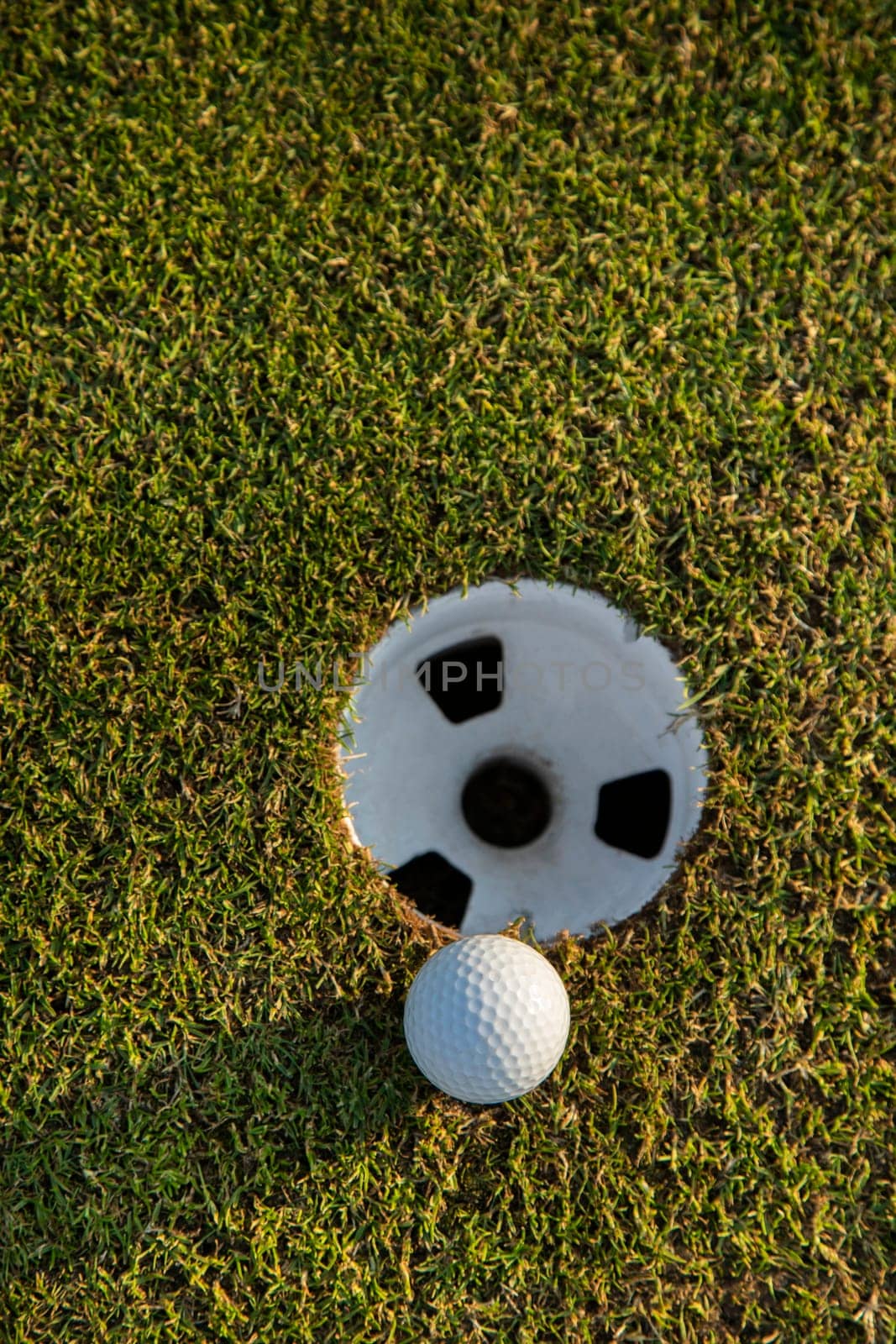 Close up of golf ball on green grass, Sport and lifestyle