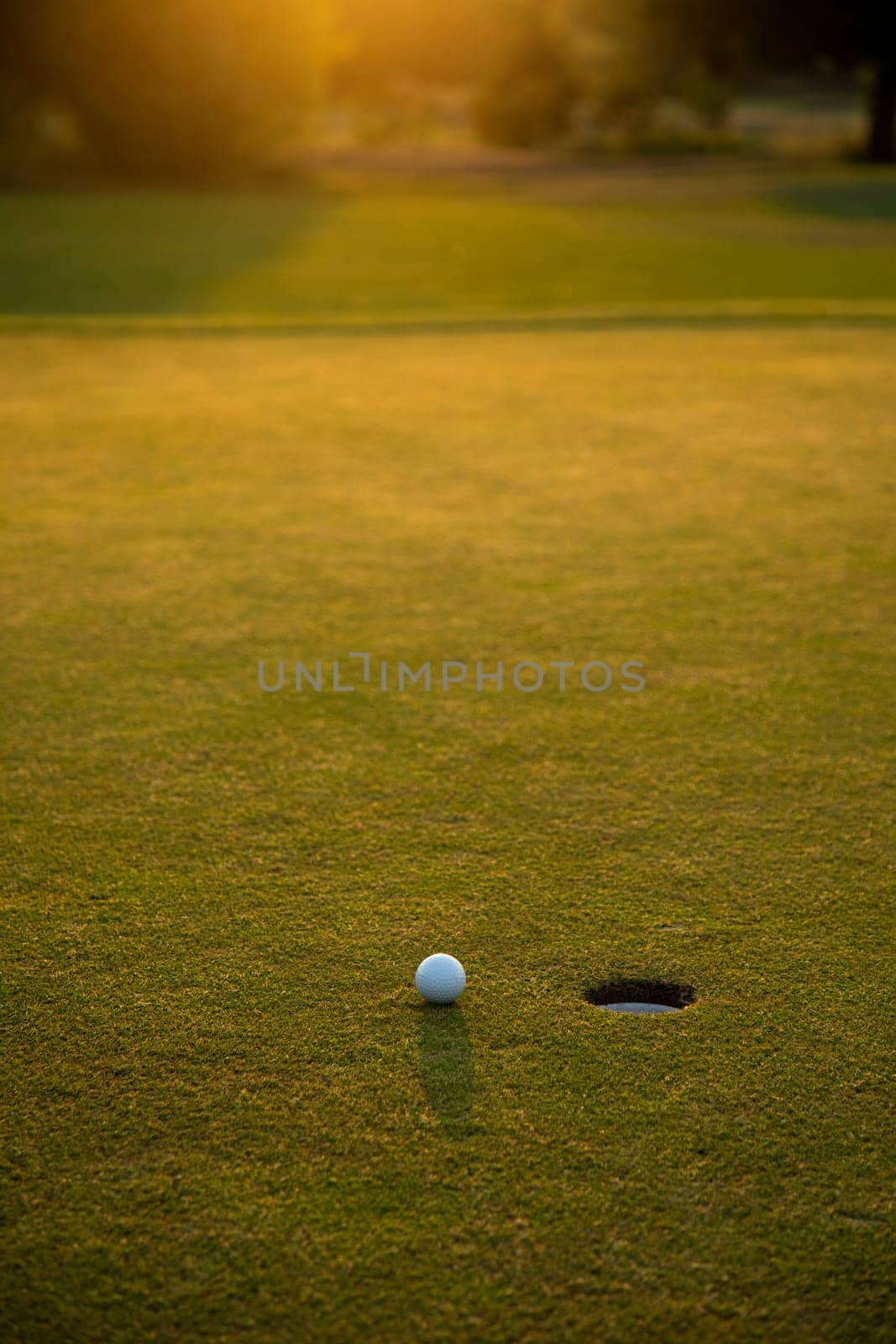 Close up of golf ball on green grass, Sport and lifestyle