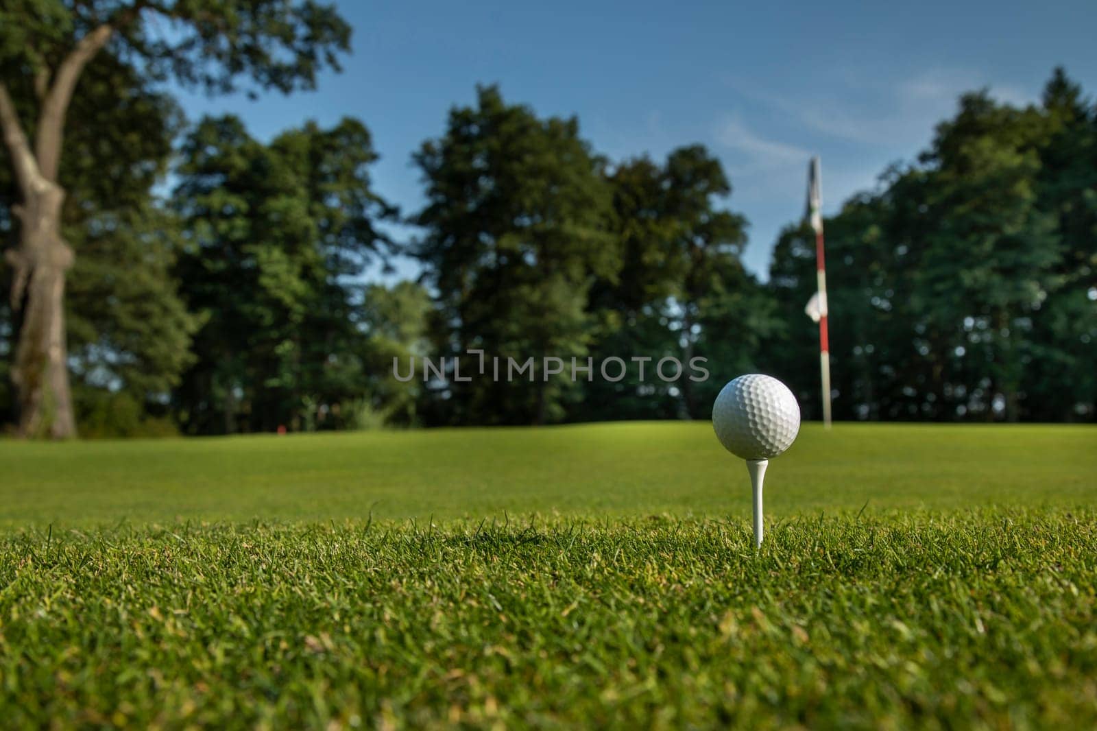 Golf ball on the golf course
