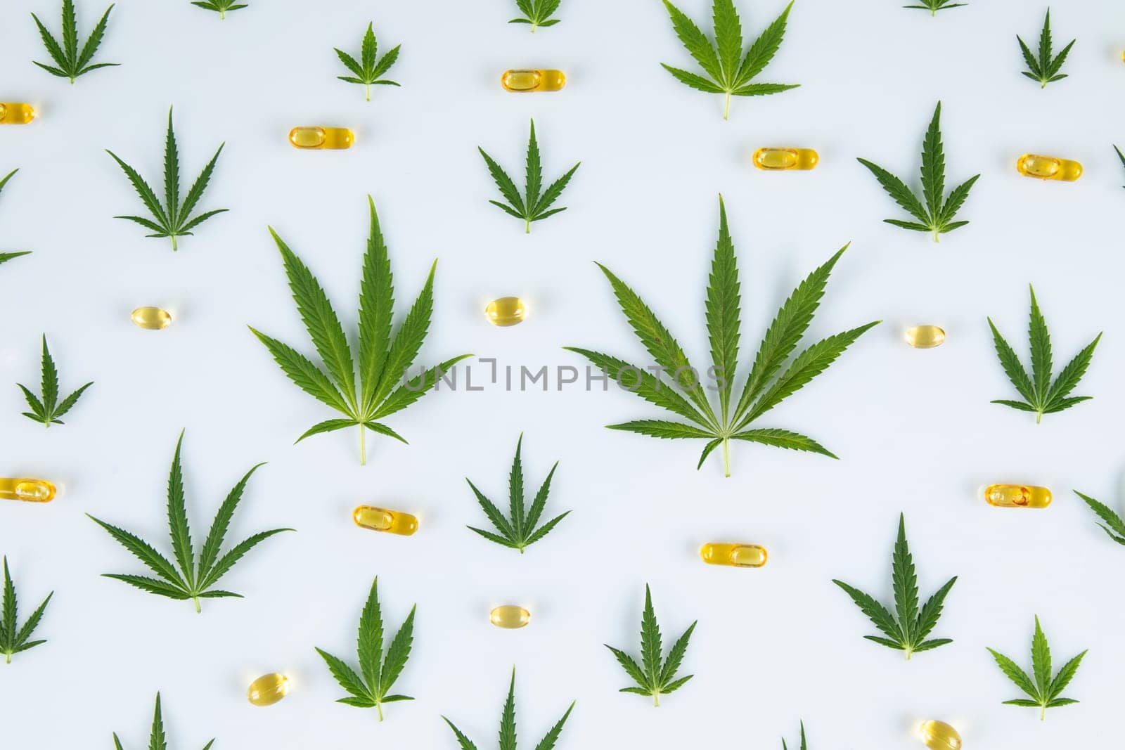 Cannabis leaf,marijuana isolated on white background