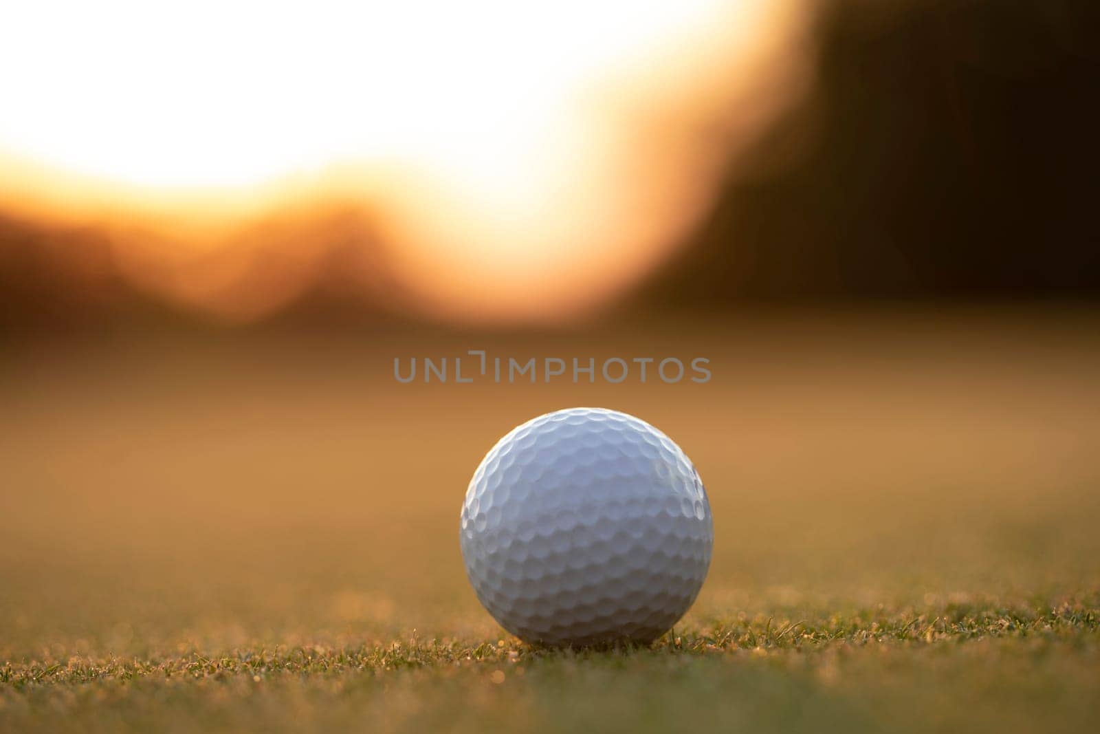 Closeup Golf ball on green grass on course