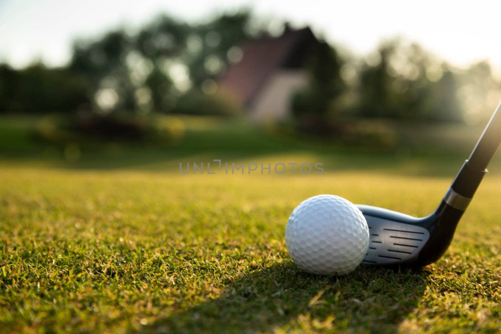 Golf player playing in a golf club on a beautiful sunset in the evening