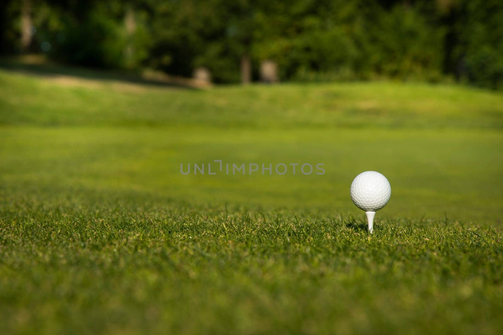 Golf ball on the golf course