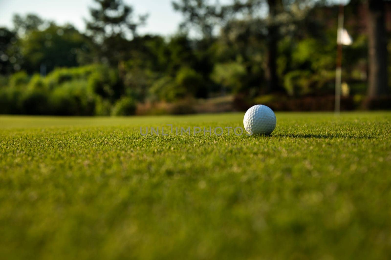 Golf ball on green course in the forest