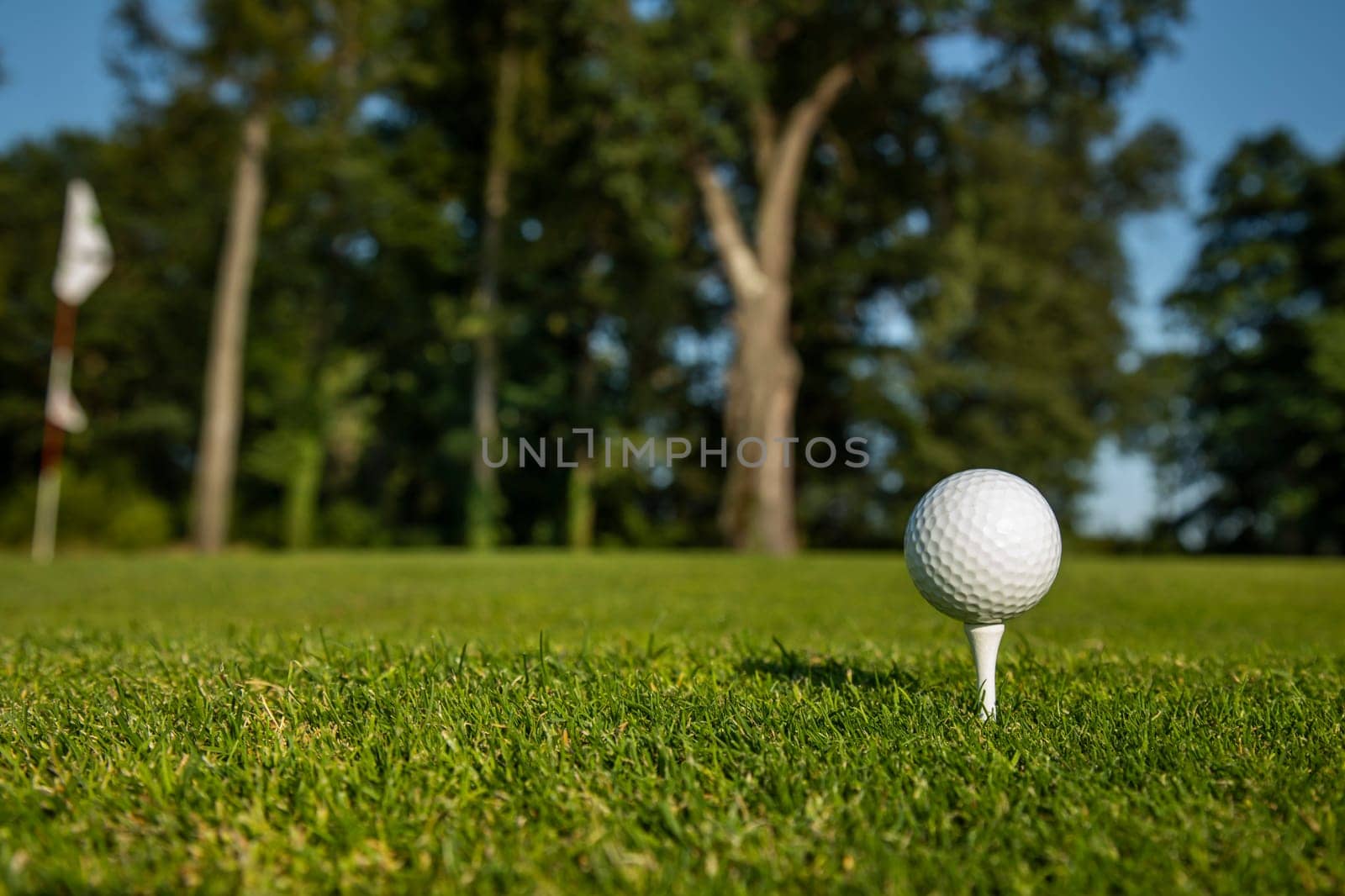 Golf ball on the golf course
