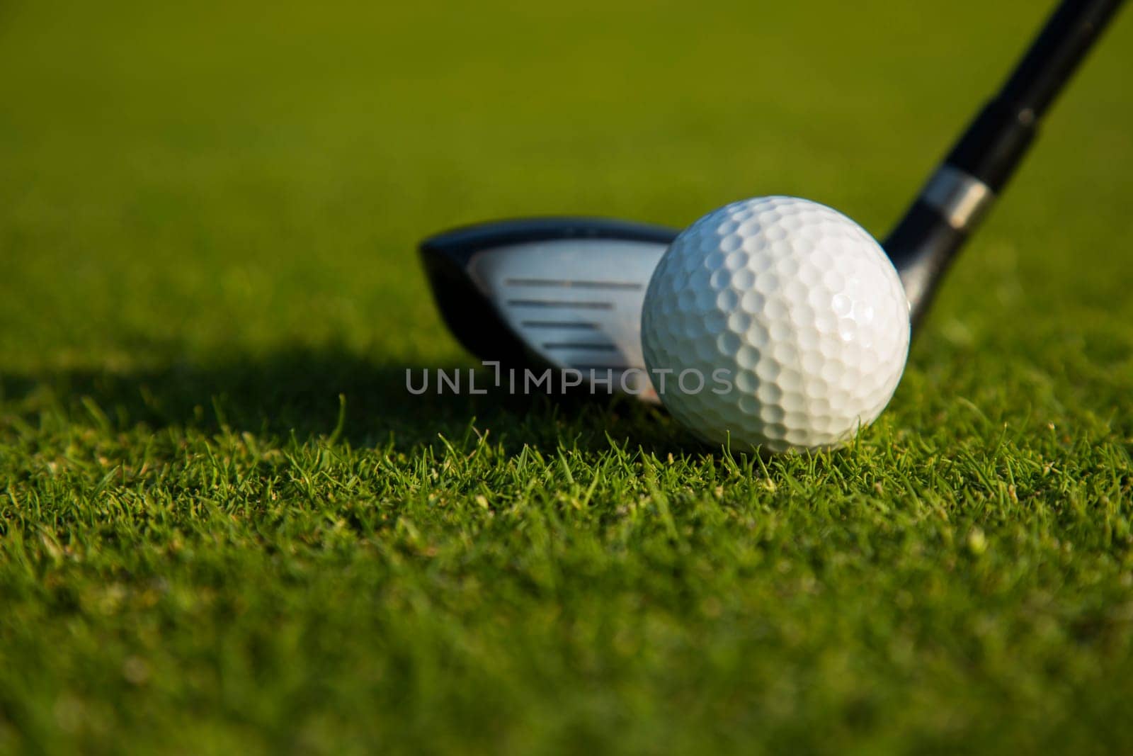 Golf player playing in a golf club on a beautiful sunset in the evening
