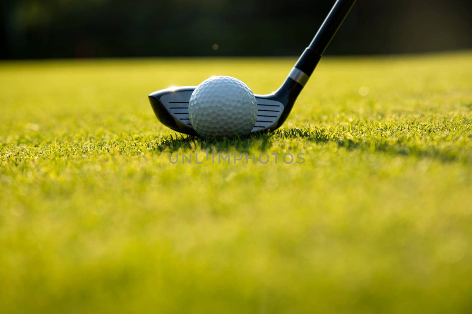 Playing a golf on a beautiful sunset in the evening