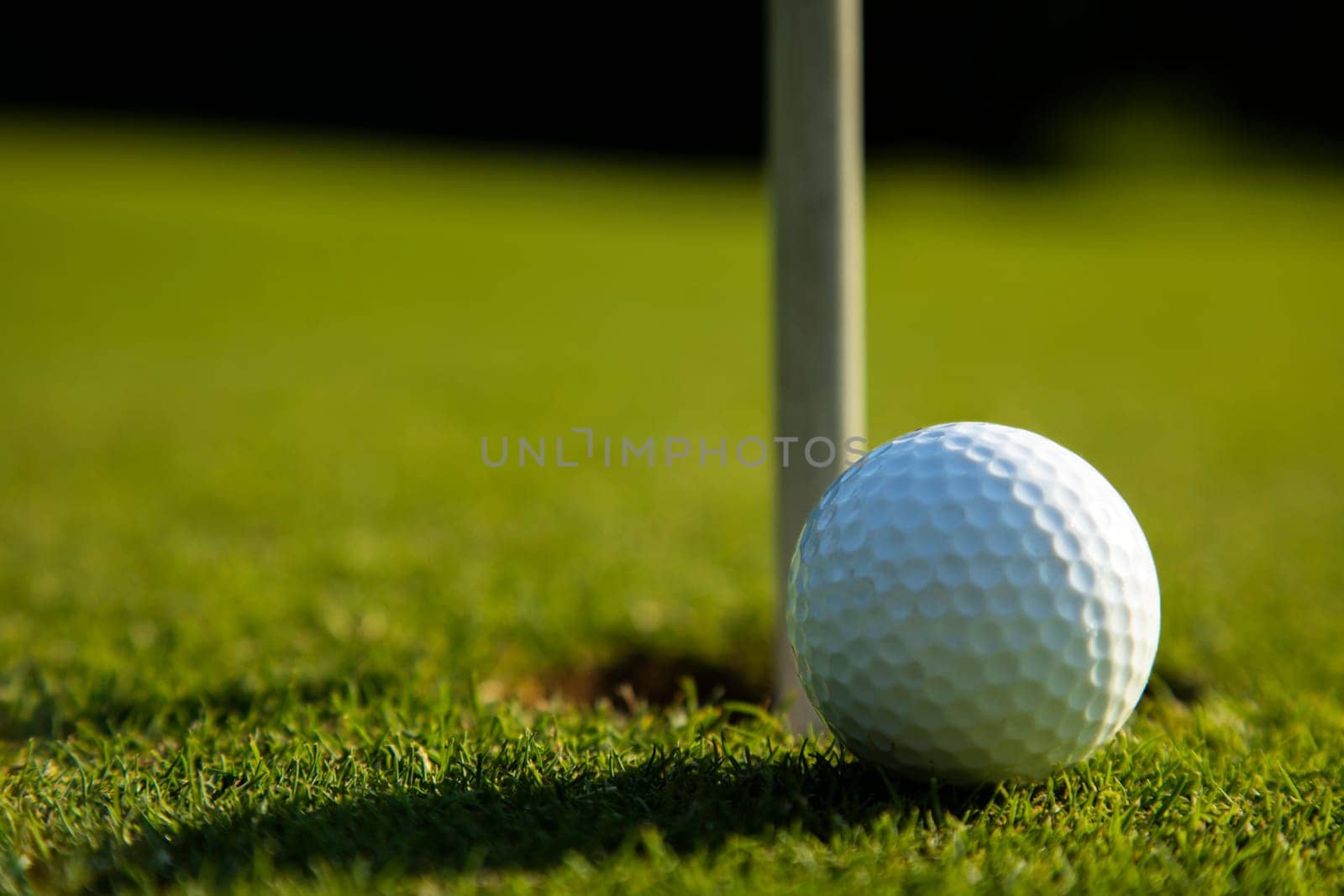 Sport and lifestyle, Golf ball on green grass on course
