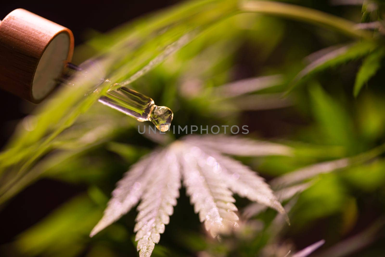 Set of essential oil cbd in a glass bottle, with a pipette, marijuana concept