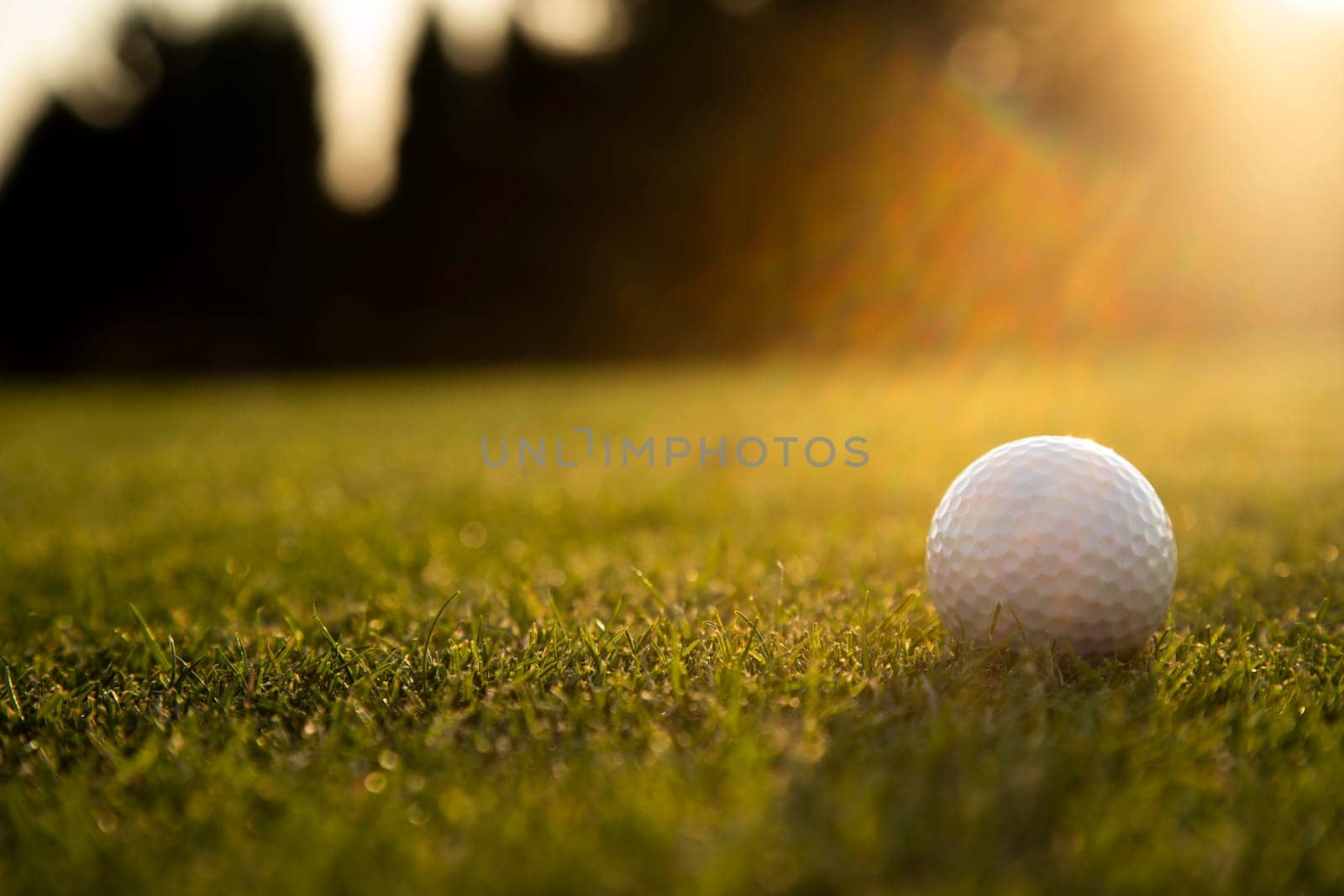 Golf course with ball and grass