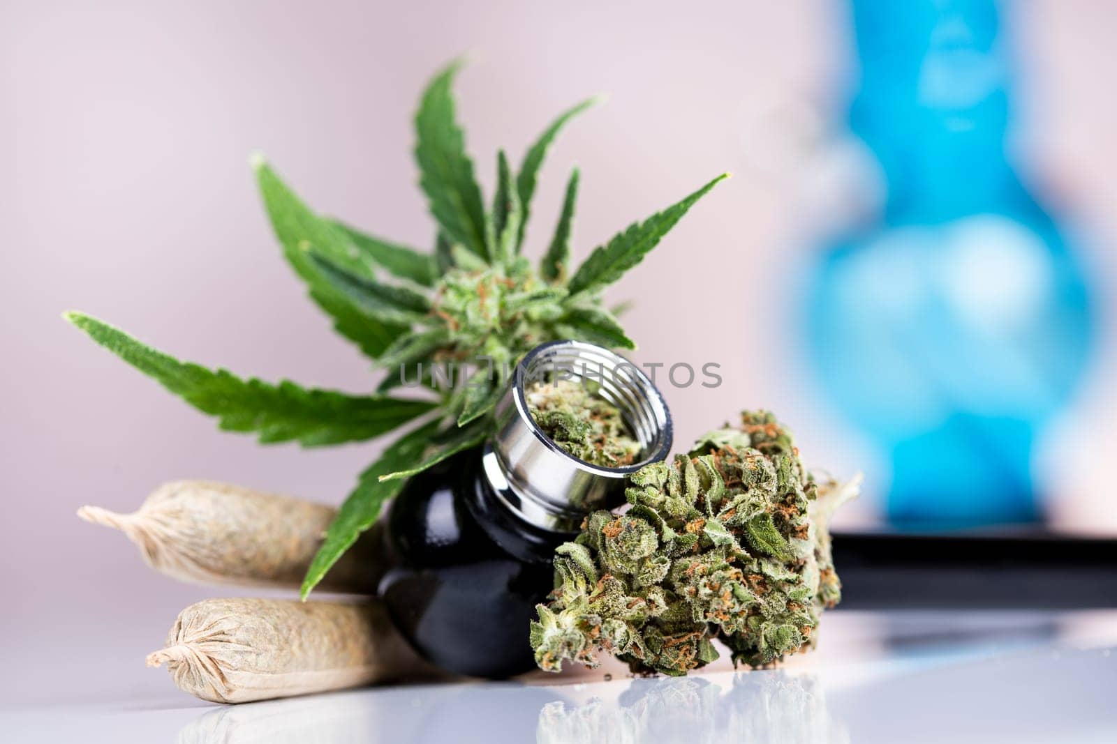 Marijuana and cannabis buds, cbd concept