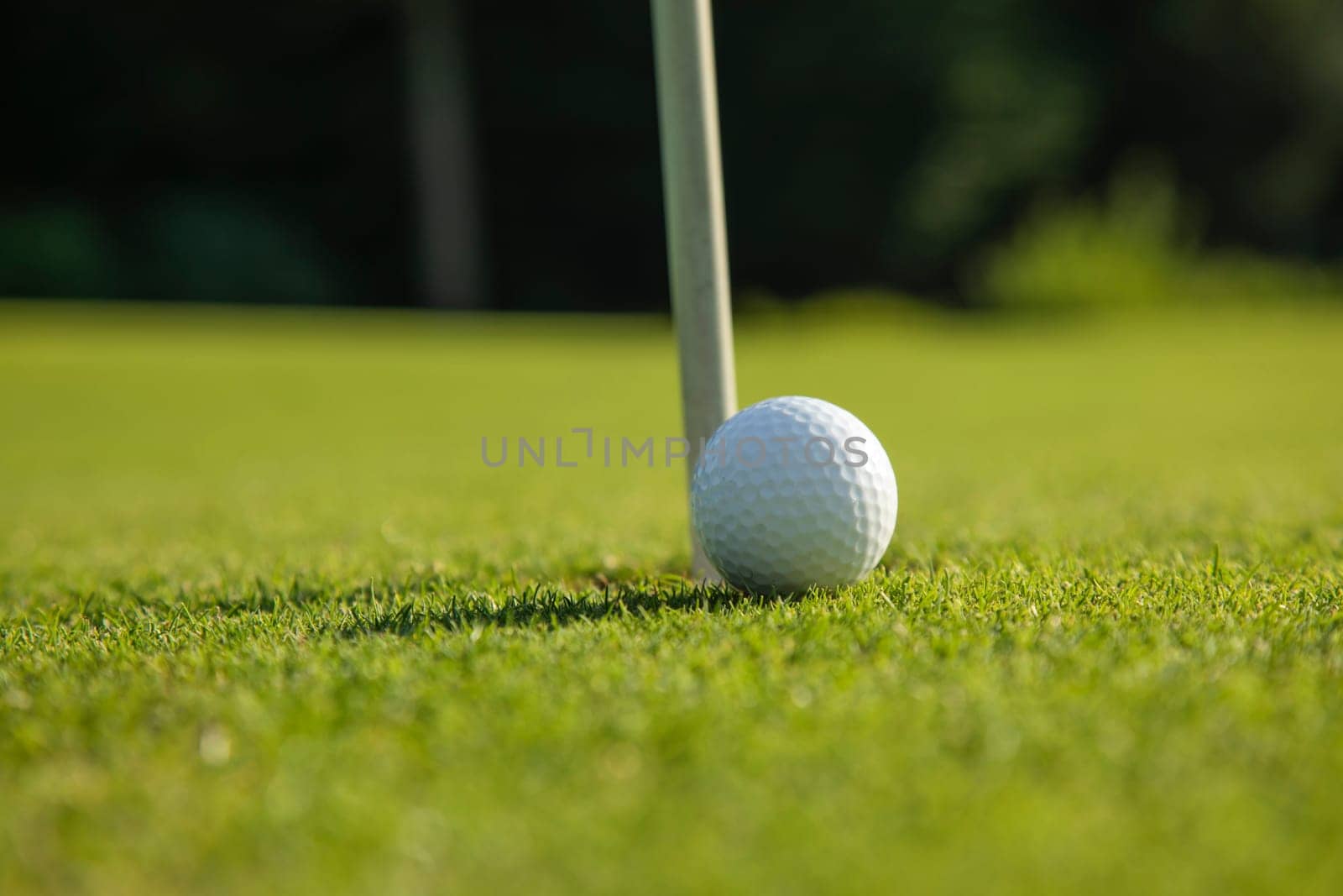 Sport and lifestyle, Golf ball on green grass on course
