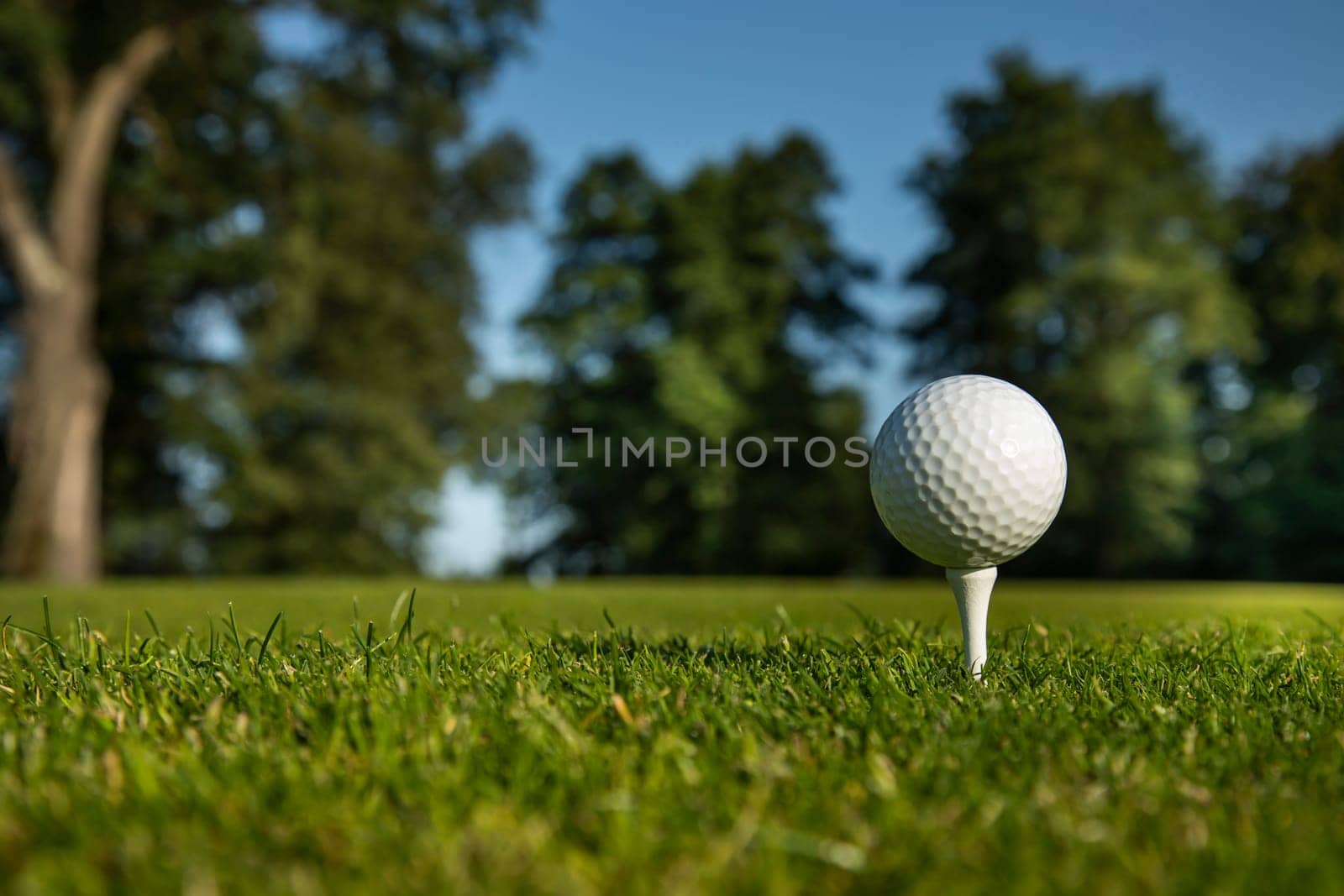 Close up of golf ball on green grass