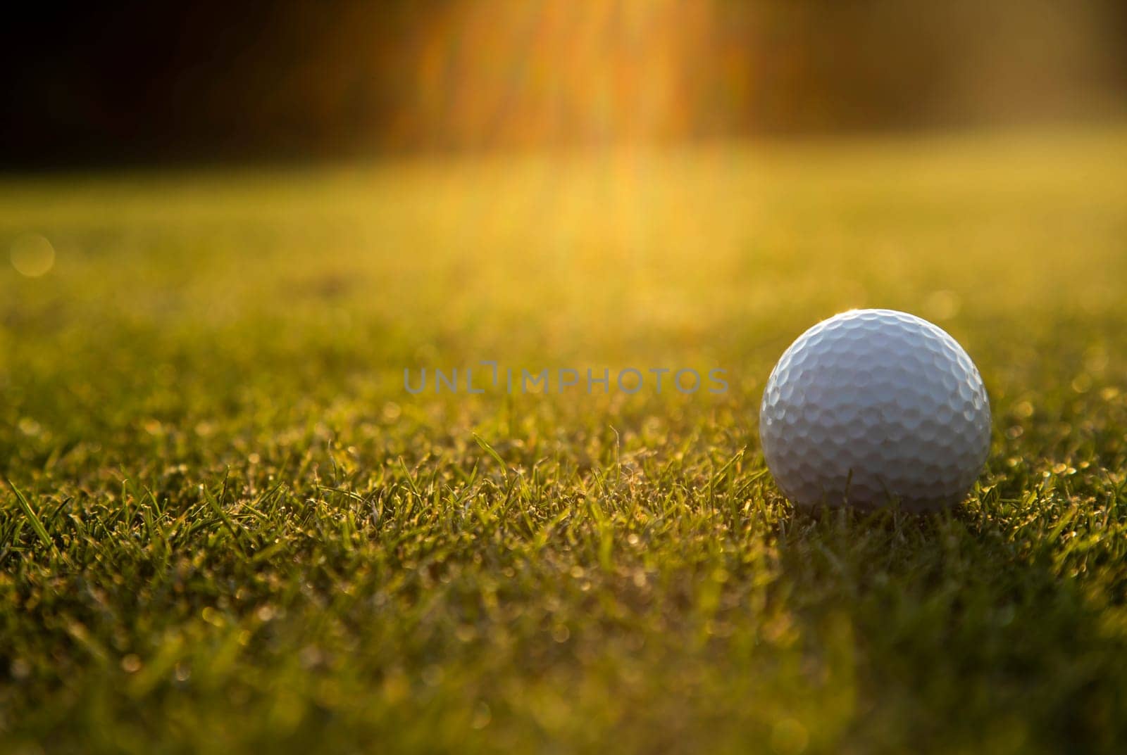 Closeup Golf ball on green grass on course