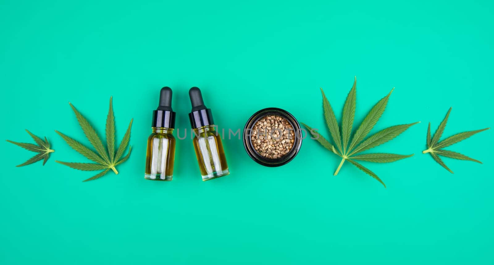 Cbd cannabis hemp buds, marijuana and cannabis leaves, medical cannabis concept