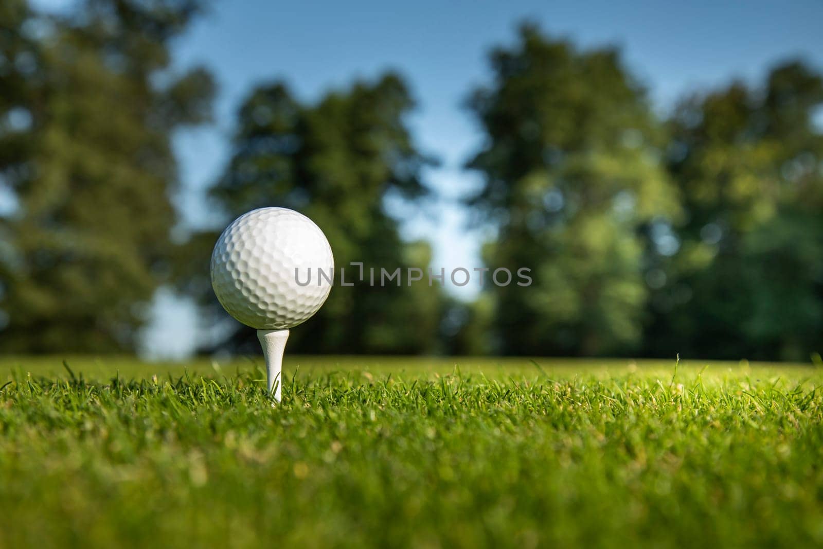 Golf course with ball and grass