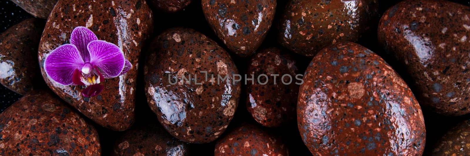 Stones with orchid flower. spa concept