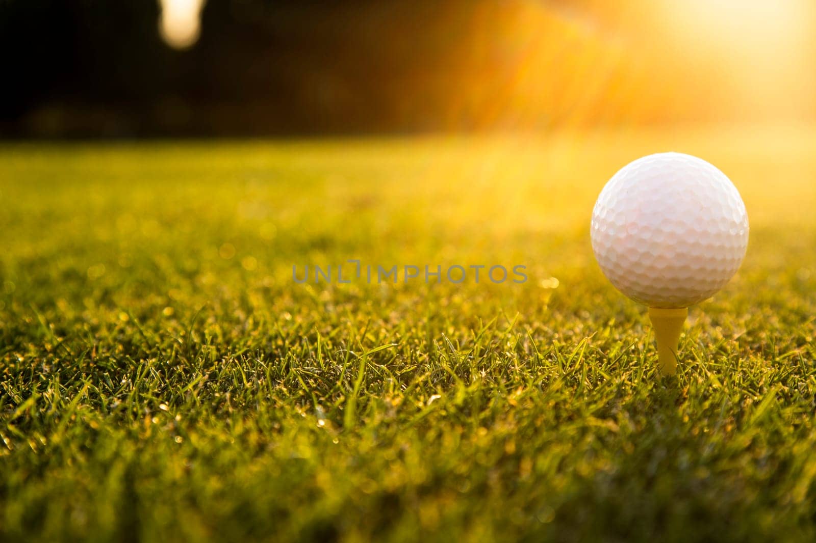 Closeup Golf ball on green grass on course