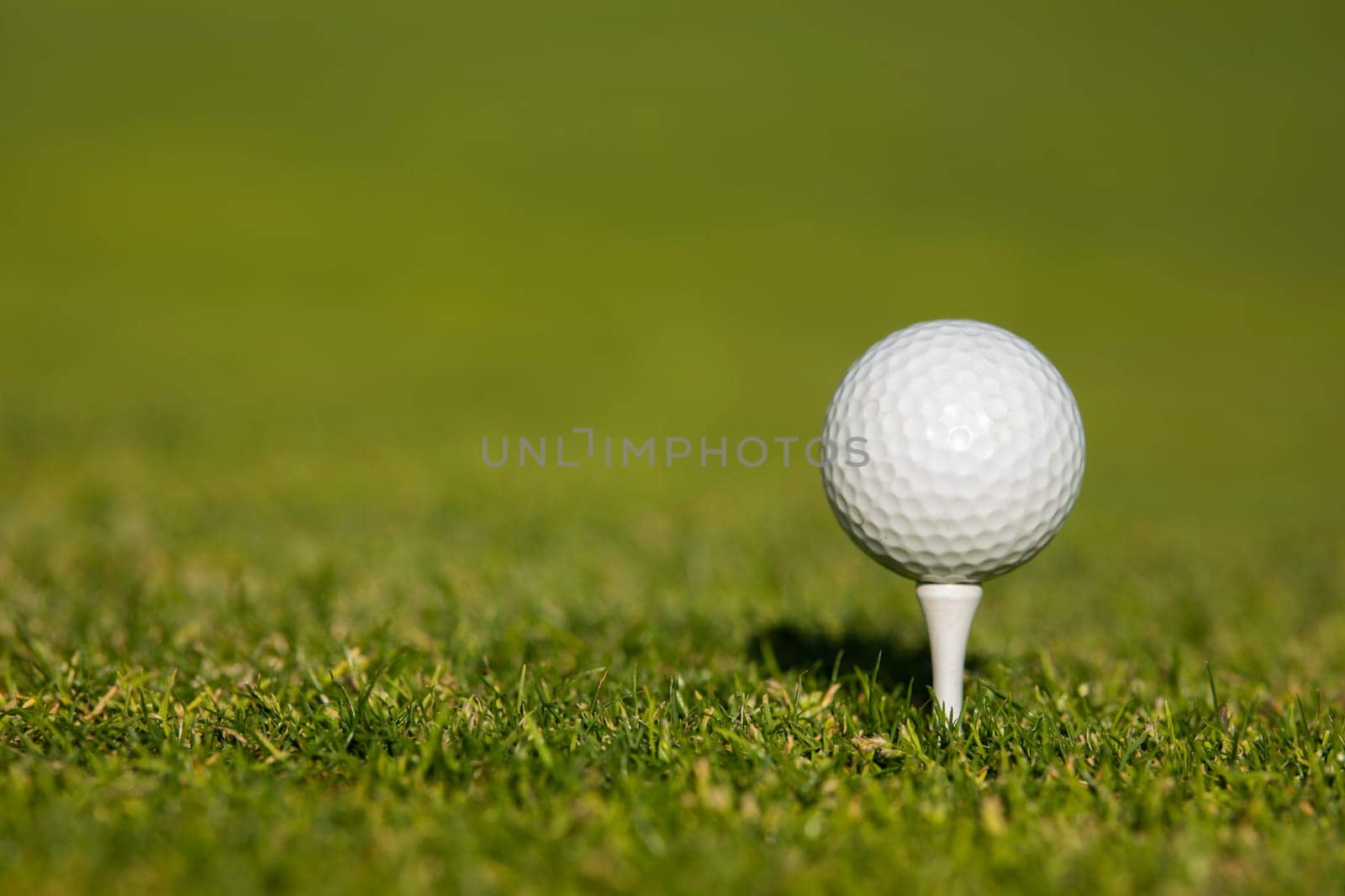 Golf ball on the golf course