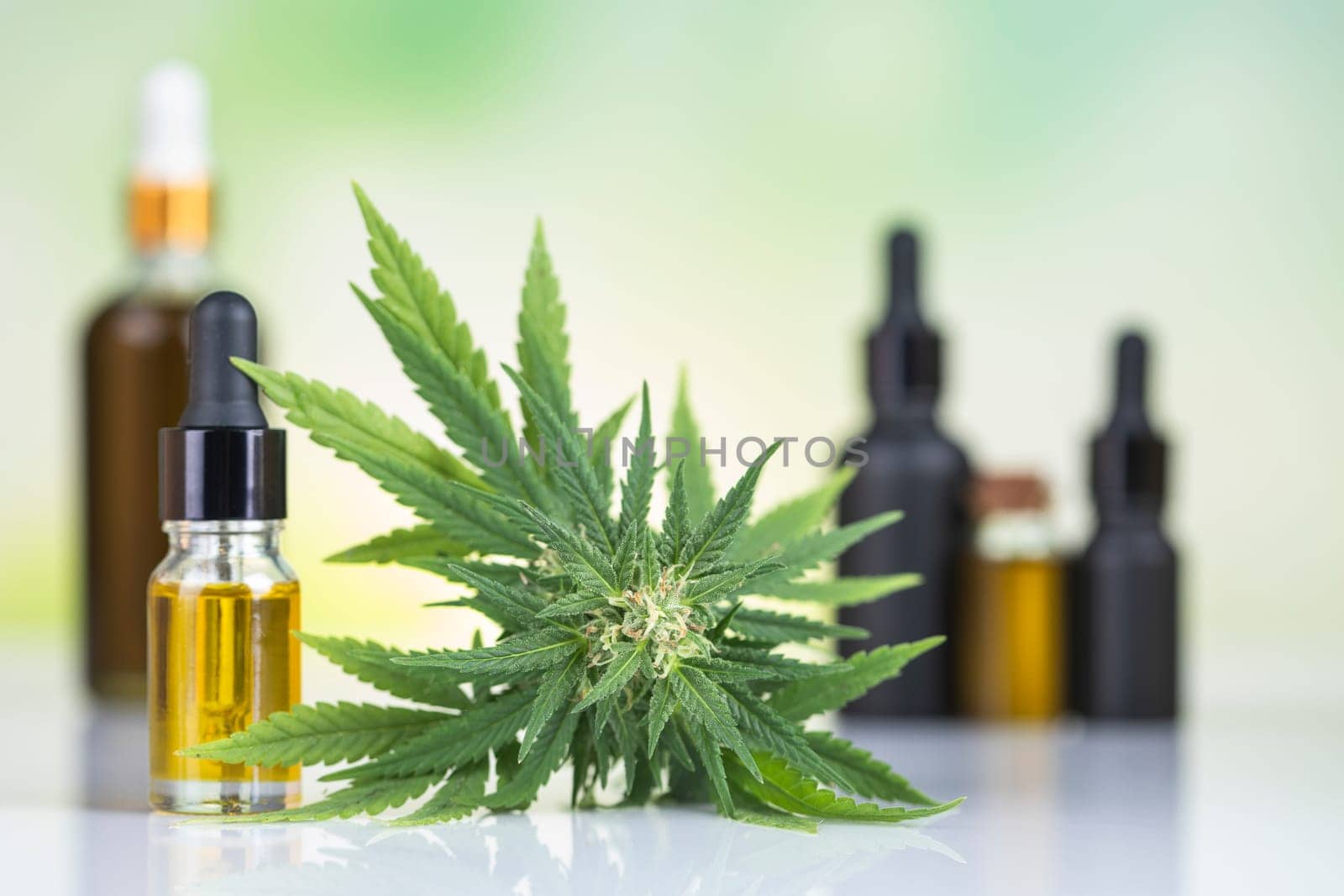 Bottles with hemp oil and cannabis leaves, marijuana