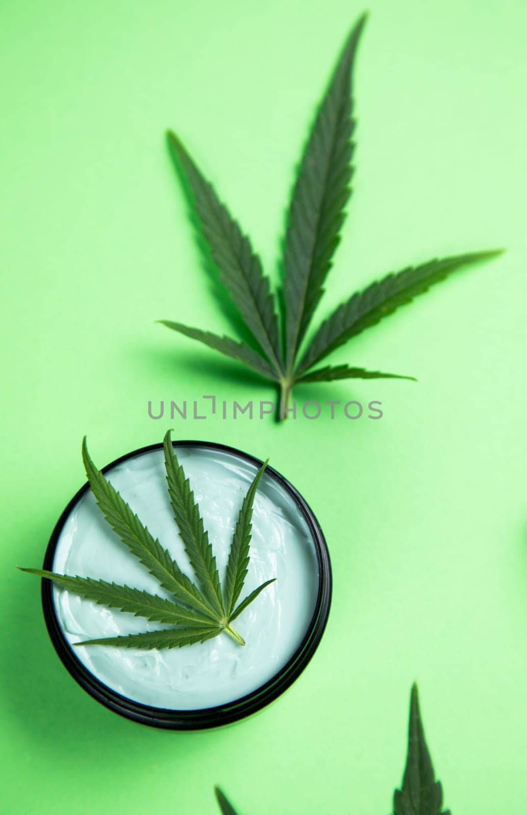 Marijuana buds with cannabis leaves on cbd concept
