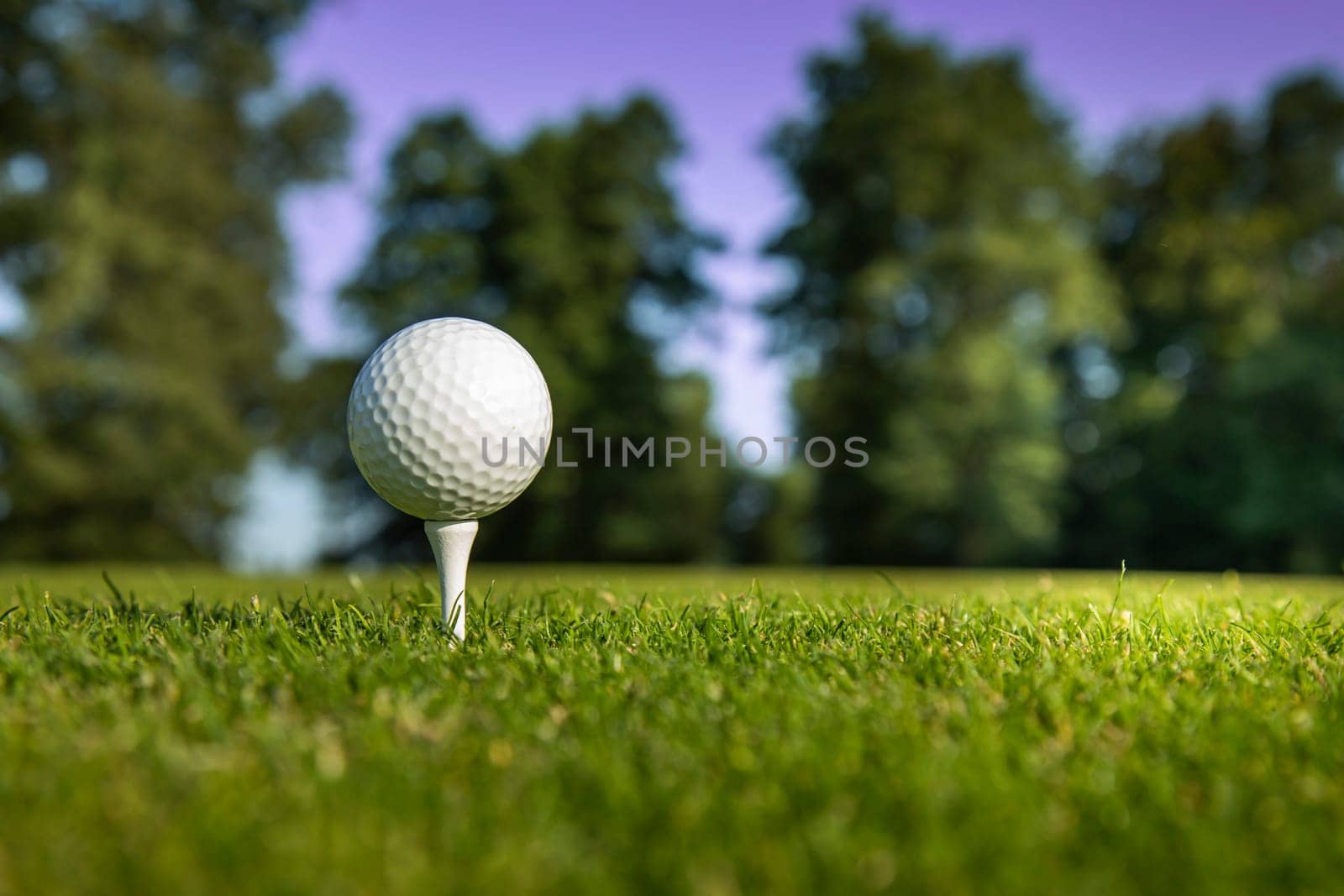 Golf ball on the golf course