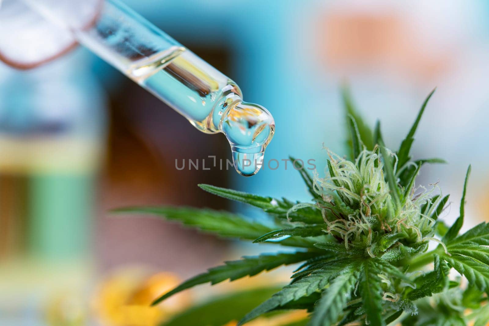 Set of essential oil cbd in a glass bottle, with a pipette, marijuana concept