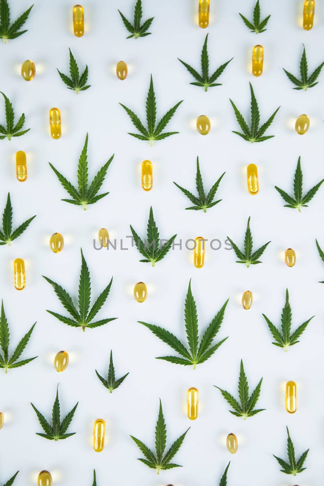 Cannabis leaf,marijuana isolated on white background