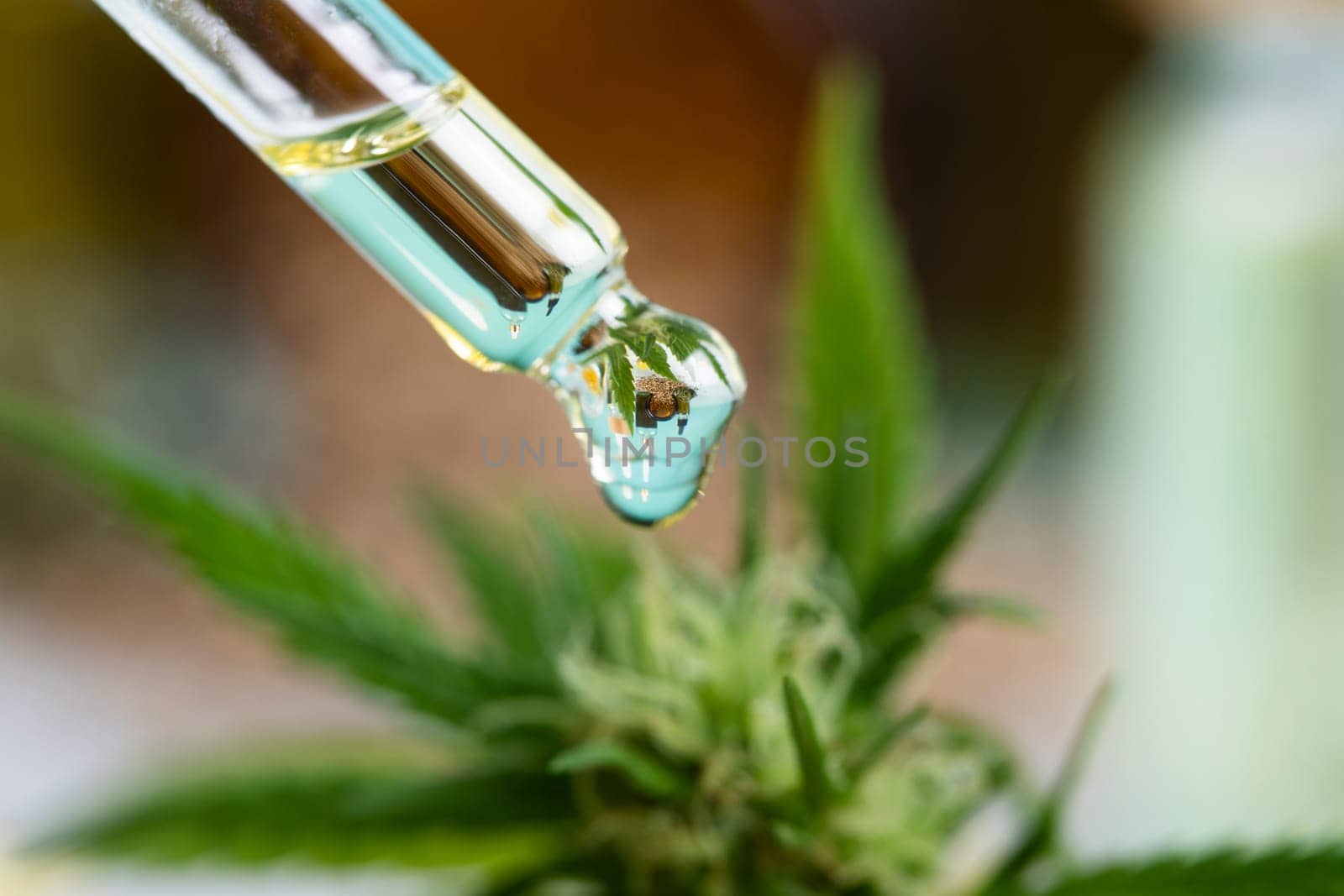 Oil cbd in a glass bottle, with a pipette, Medical marijuana concept