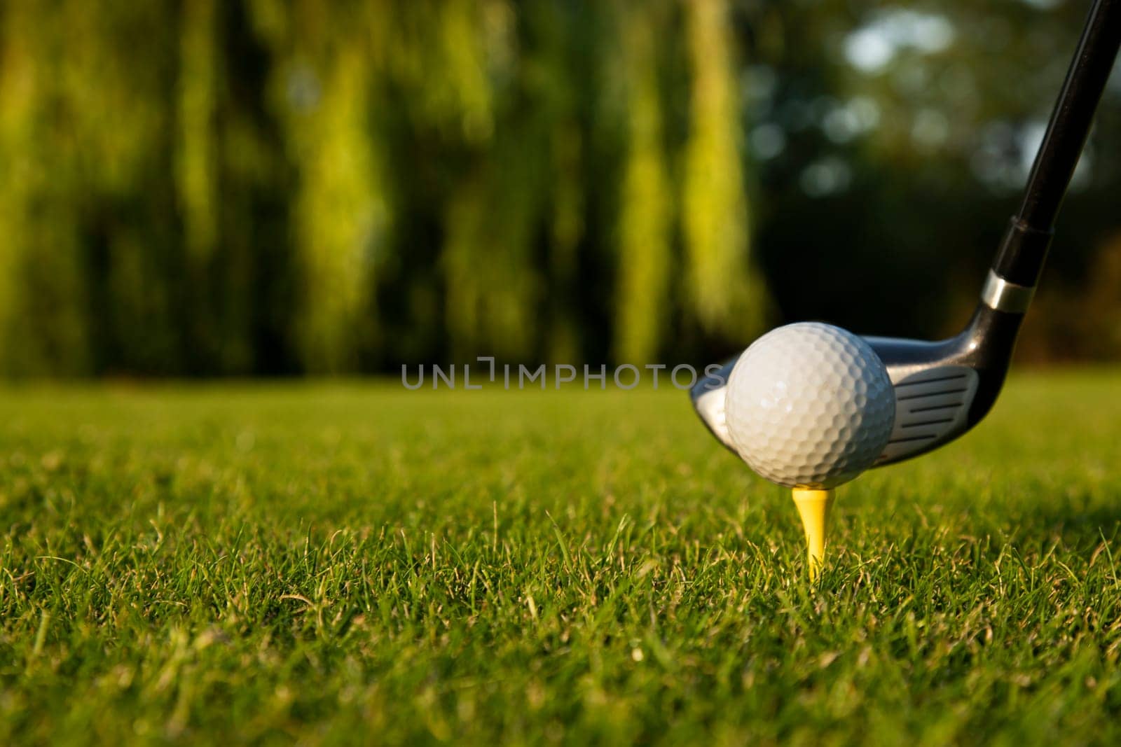 Golf player playing in a golf club on a beautiful sunset in the evening