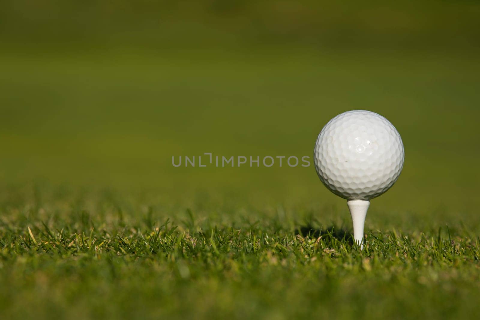Golf ball on the golf course