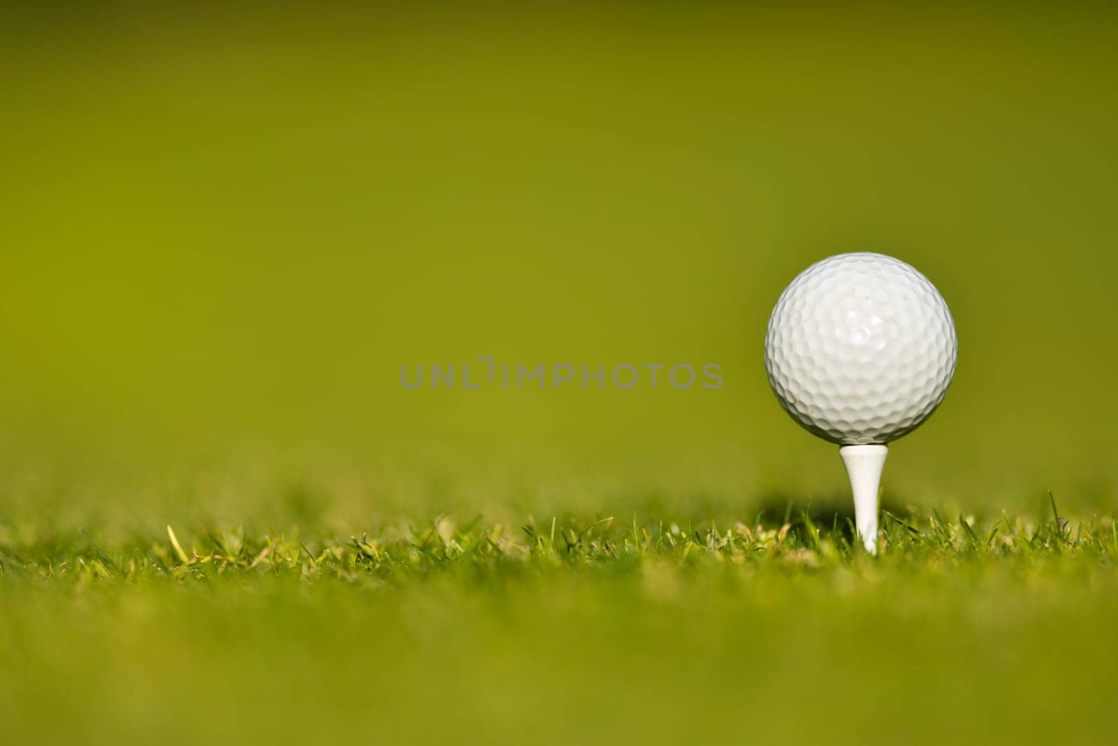 Golf ball on the golf course