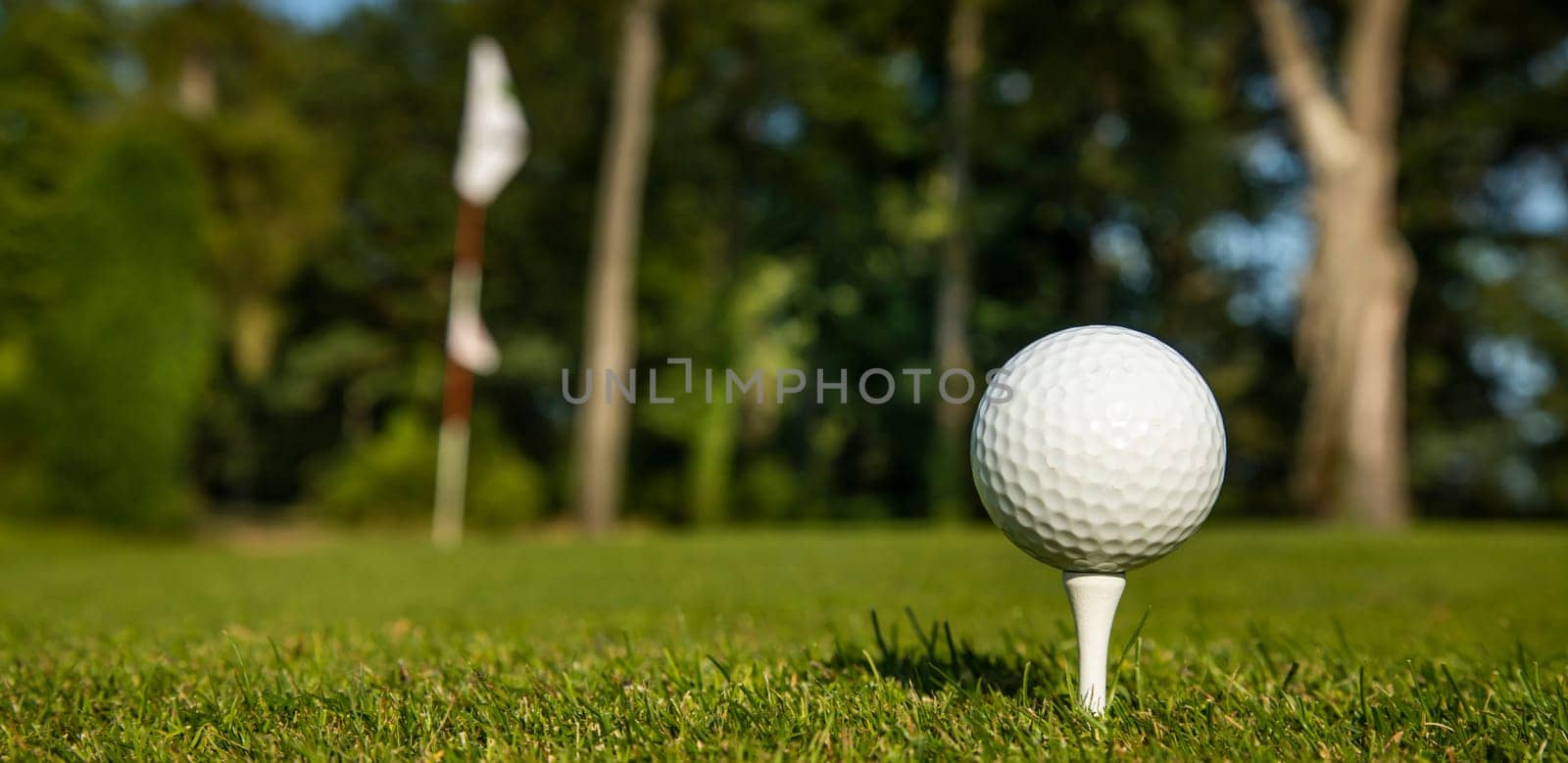 Golf ball on green course in the forest