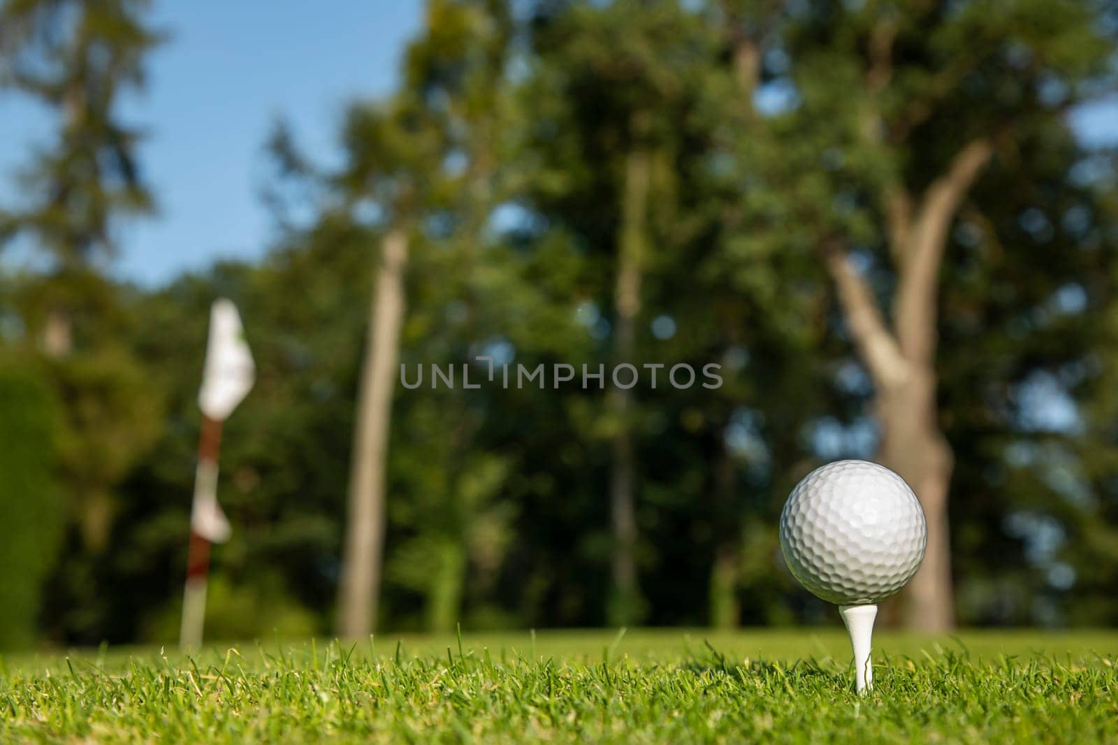 Golf ball on the golf course