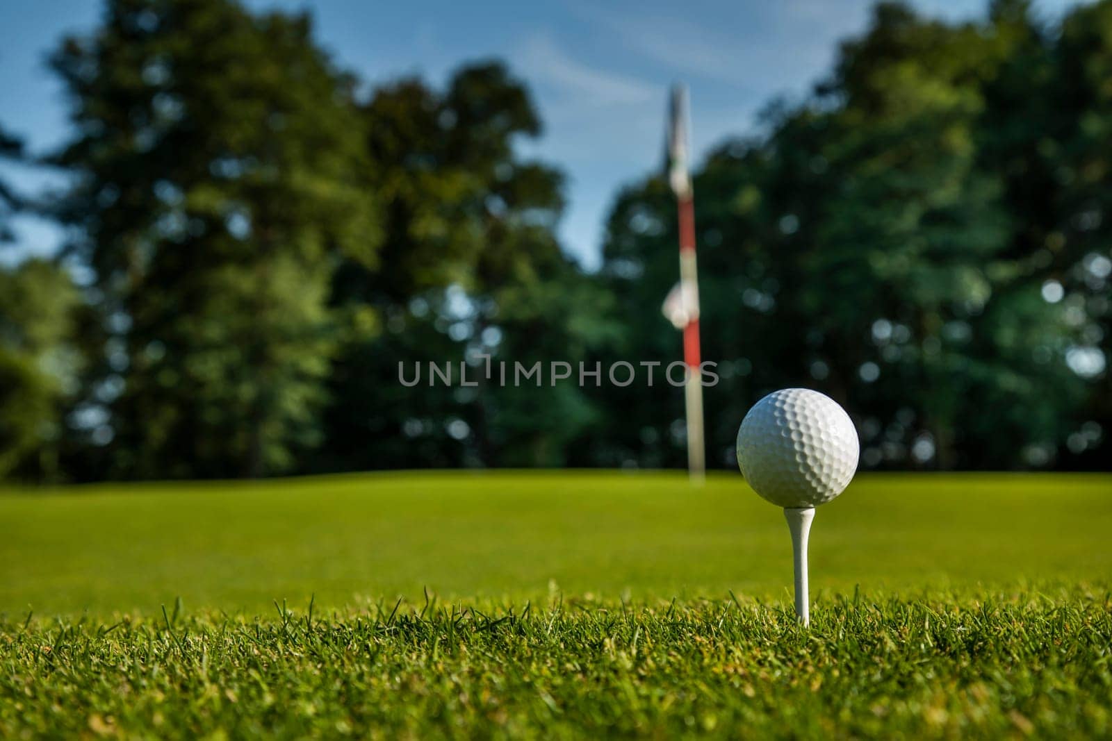 Golf course with ball and grass