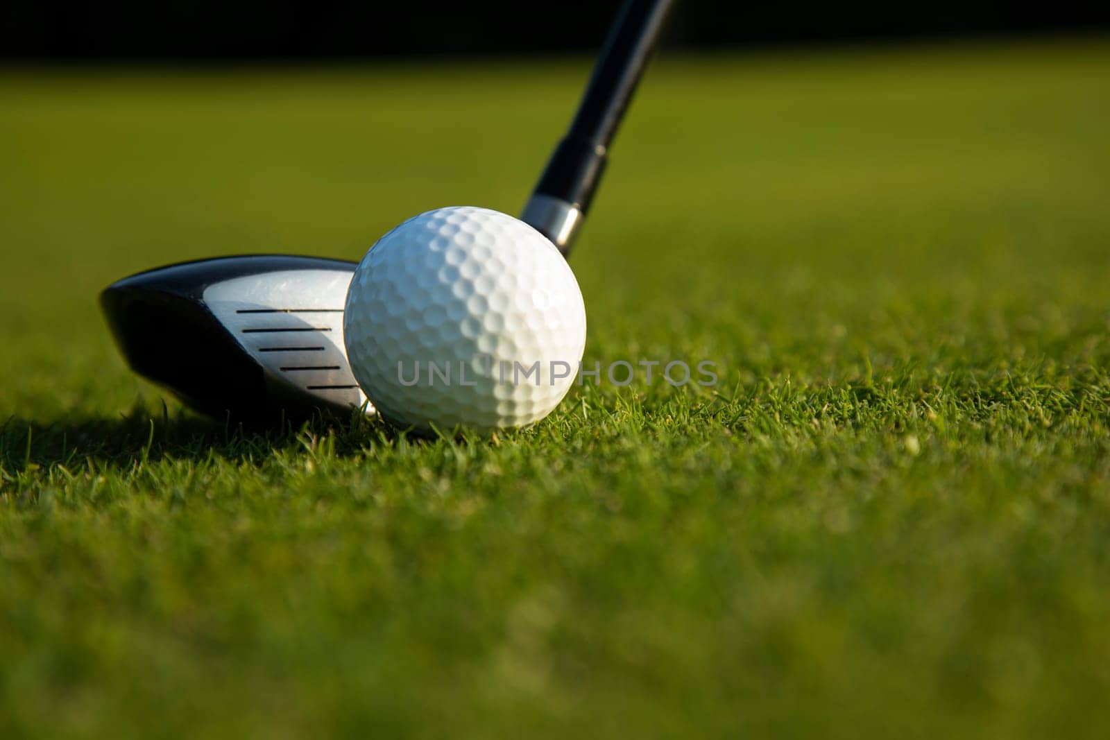 Sport , golf player playing in a golf club
