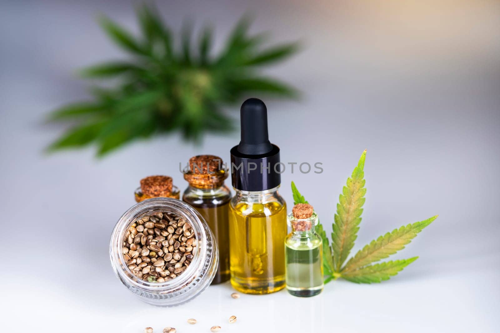 Hemp oil and marijuana leaves on extract cbd