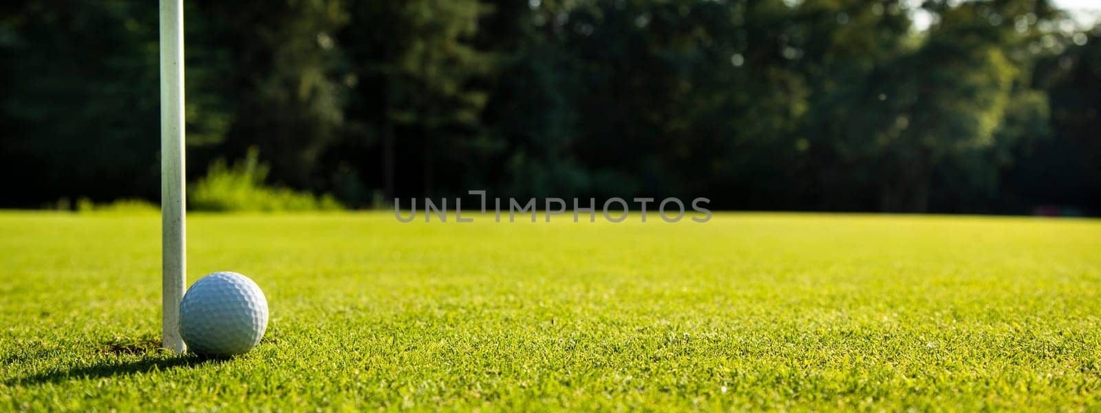 Sport and lifestyle, Golf ball on green grass on course