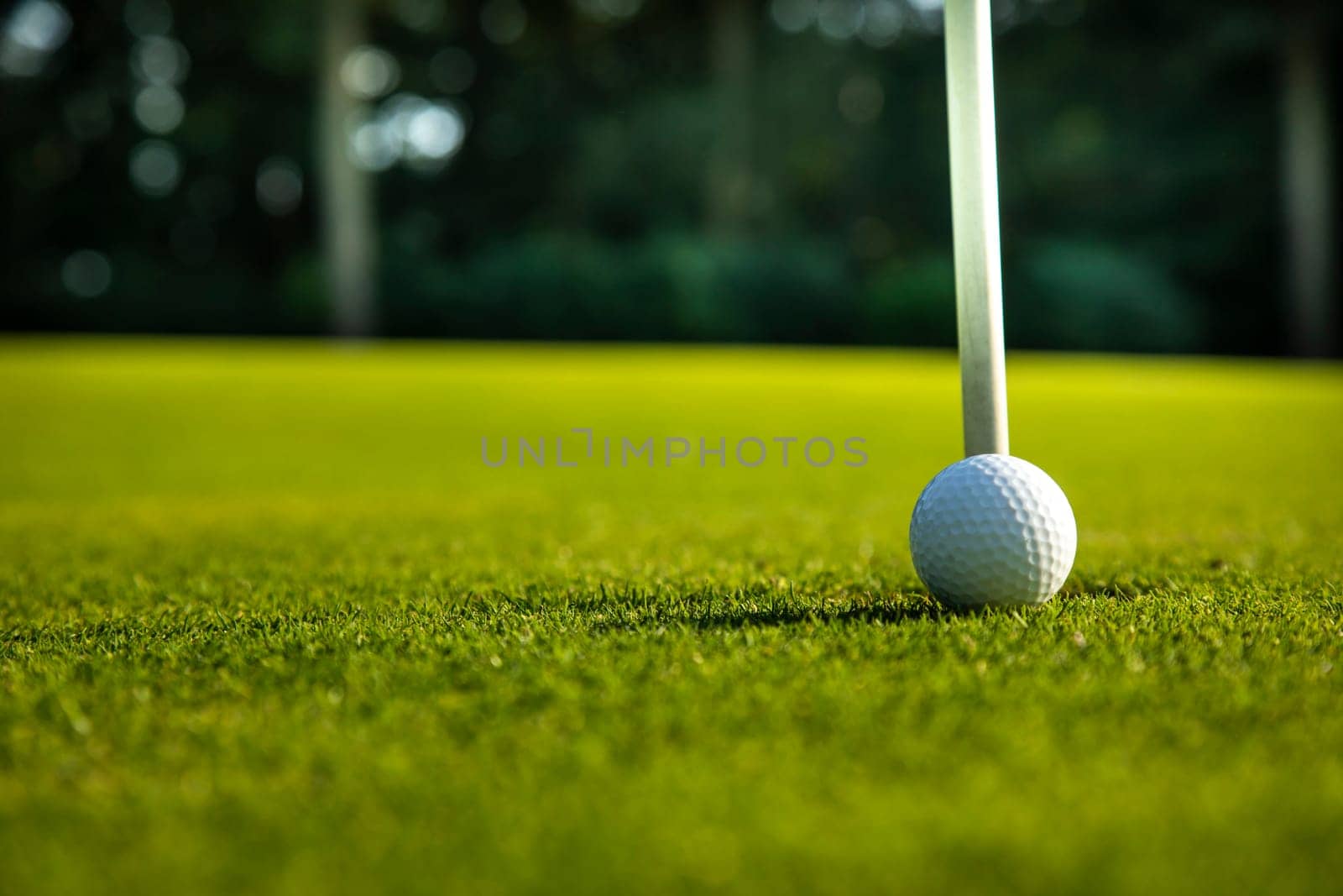 Sport and lifestyle, Golf ball on green grass on course