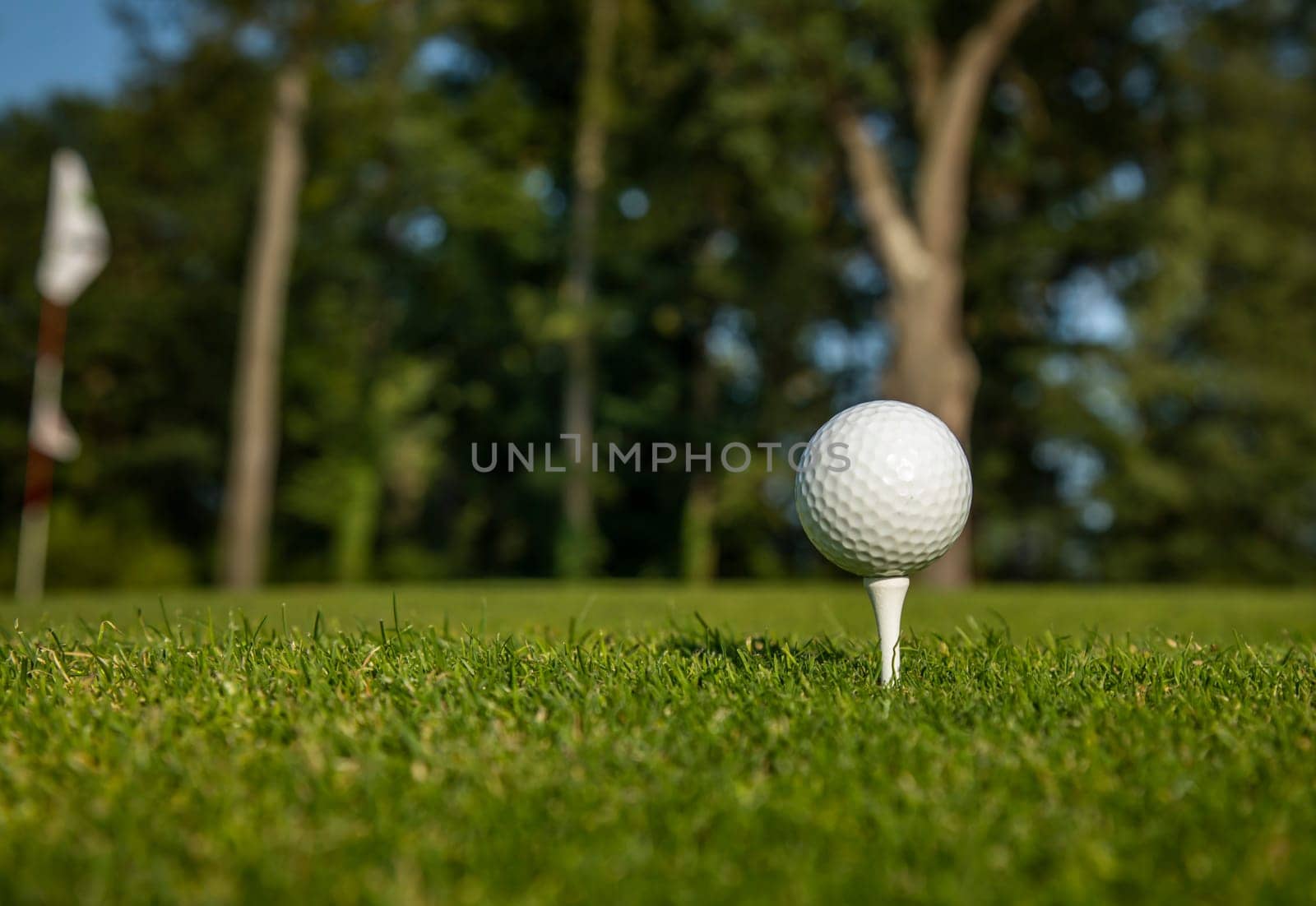 Golf ball on the golf course