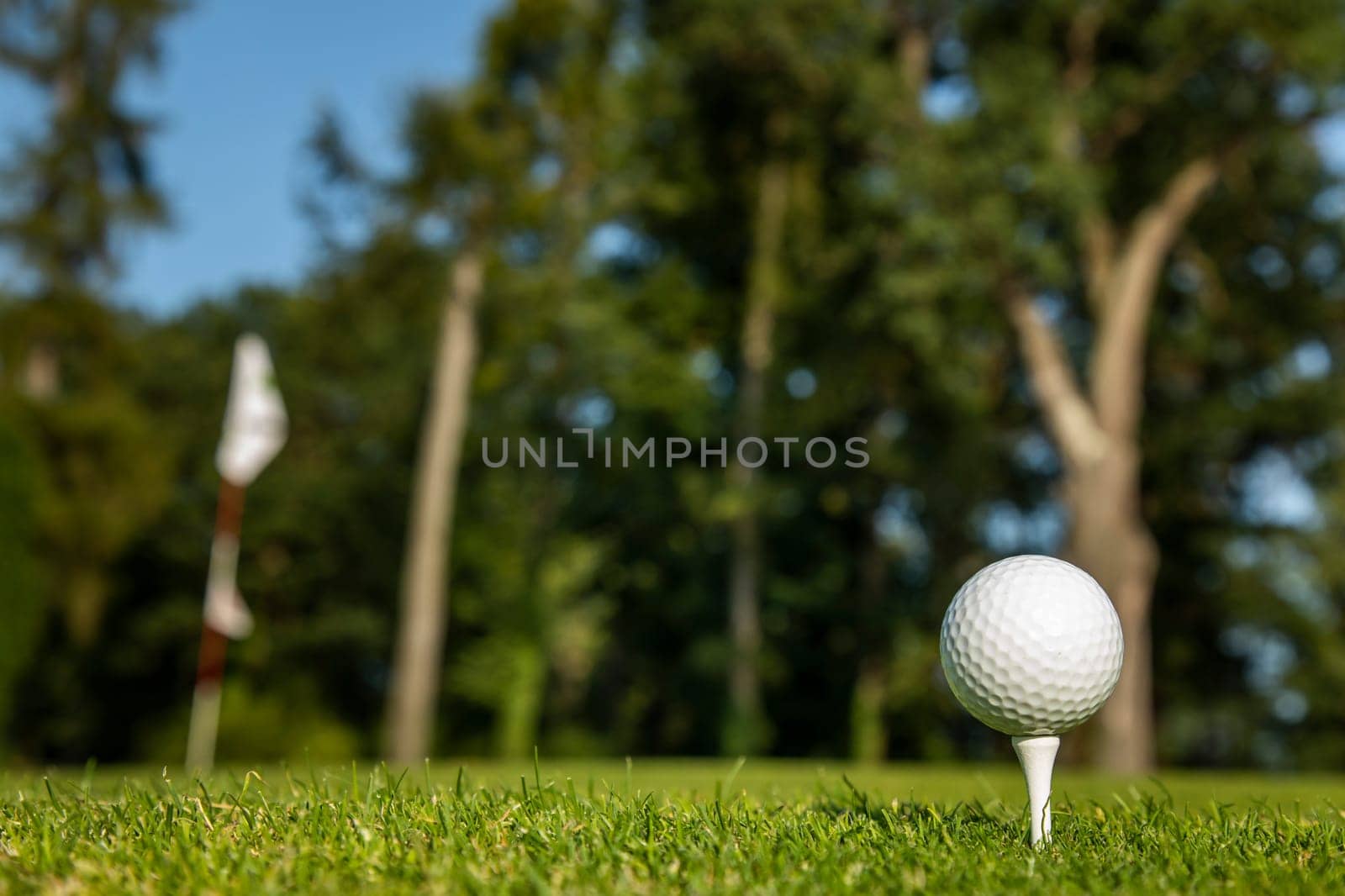 Close up of golf ball on green grass