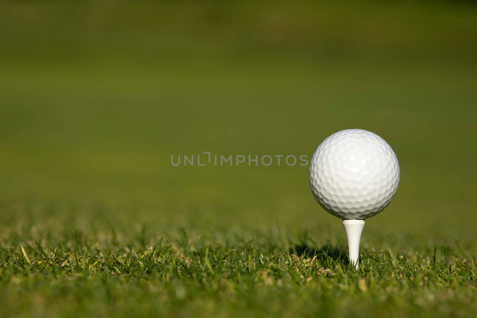 Close up of golf ball on green grass