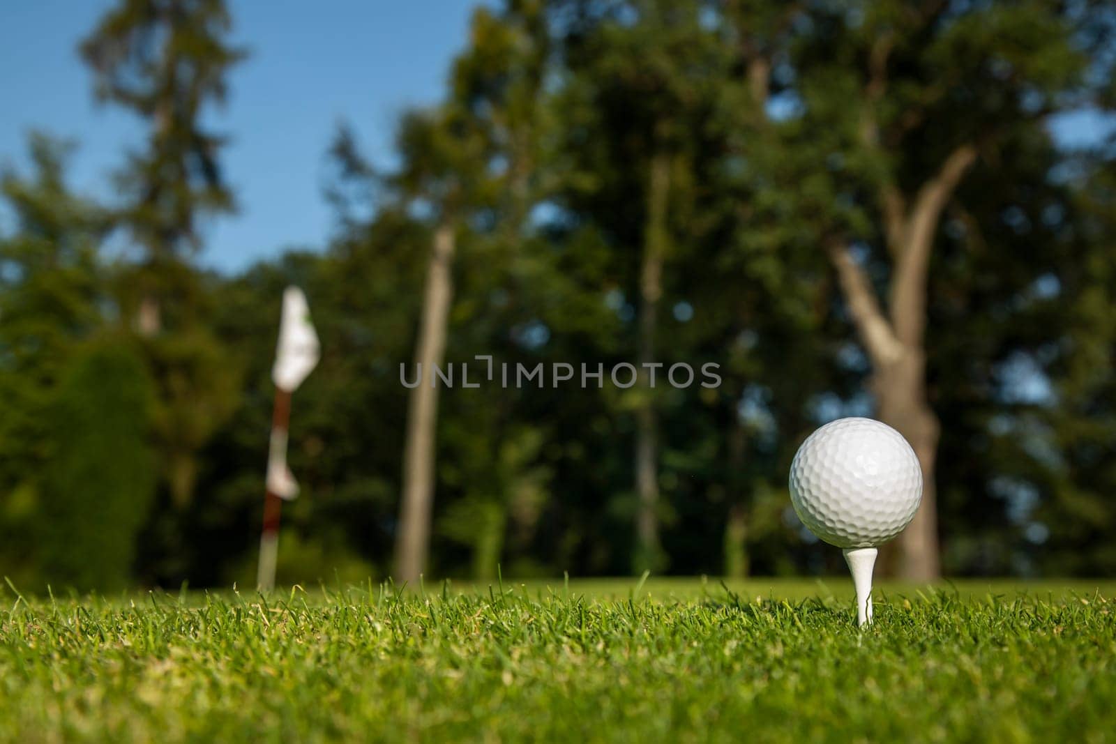 Golf course with ball and grass