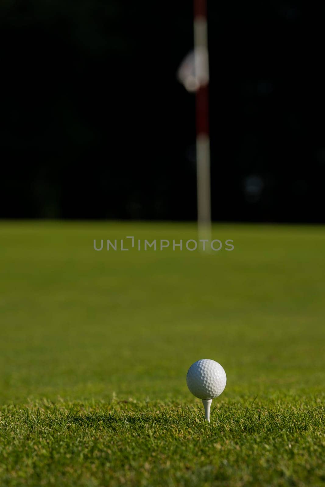Golf ball on the golf course
