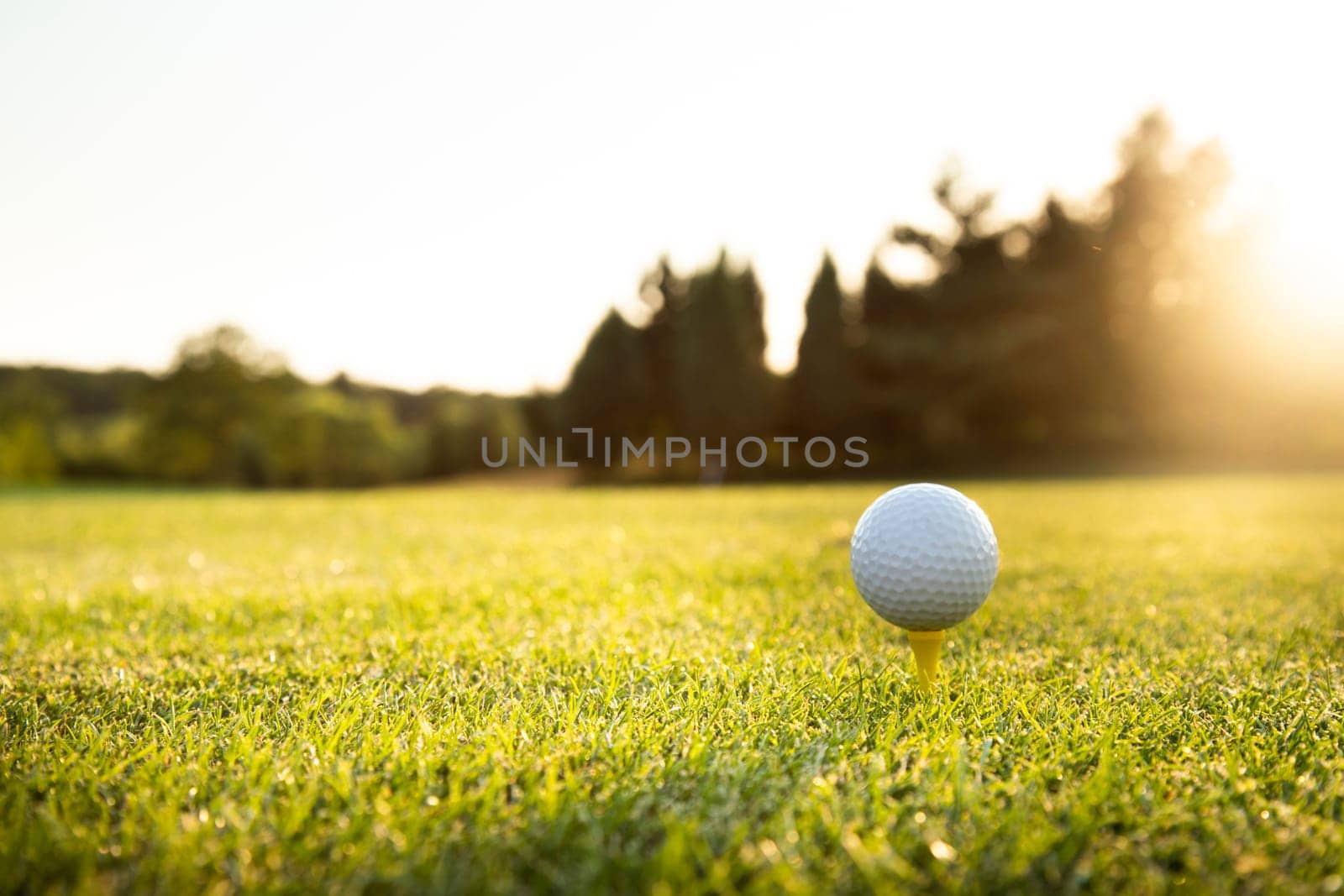 Closeup Golf ball on green grass on course